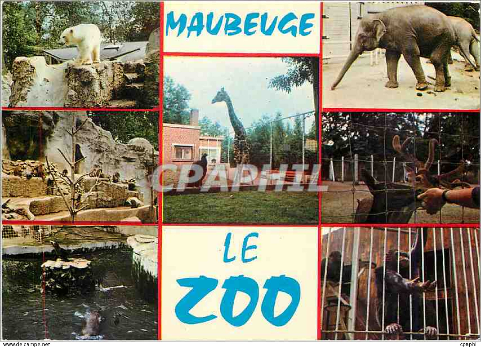 CPM Maubeuge Le Zoo Giraffe Elephant Ours Blanc