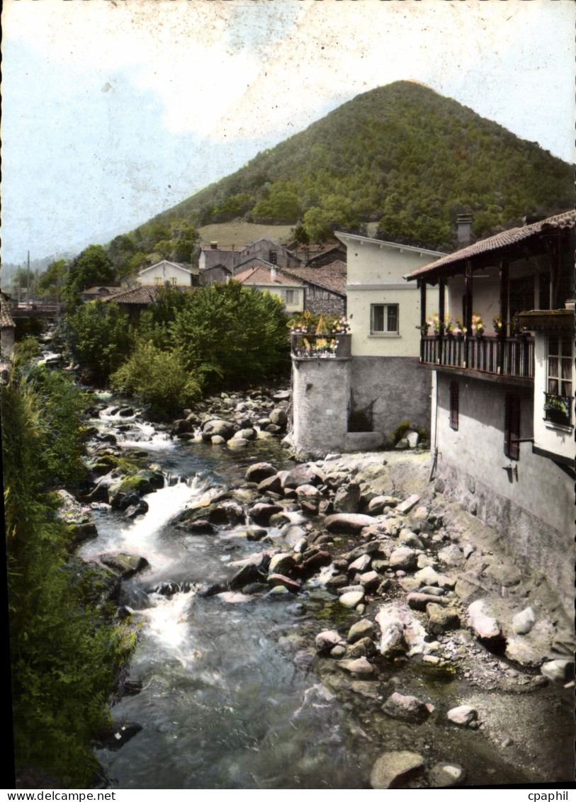 CPM Mauleon Barousse Htes Pyrenees L'Ourse