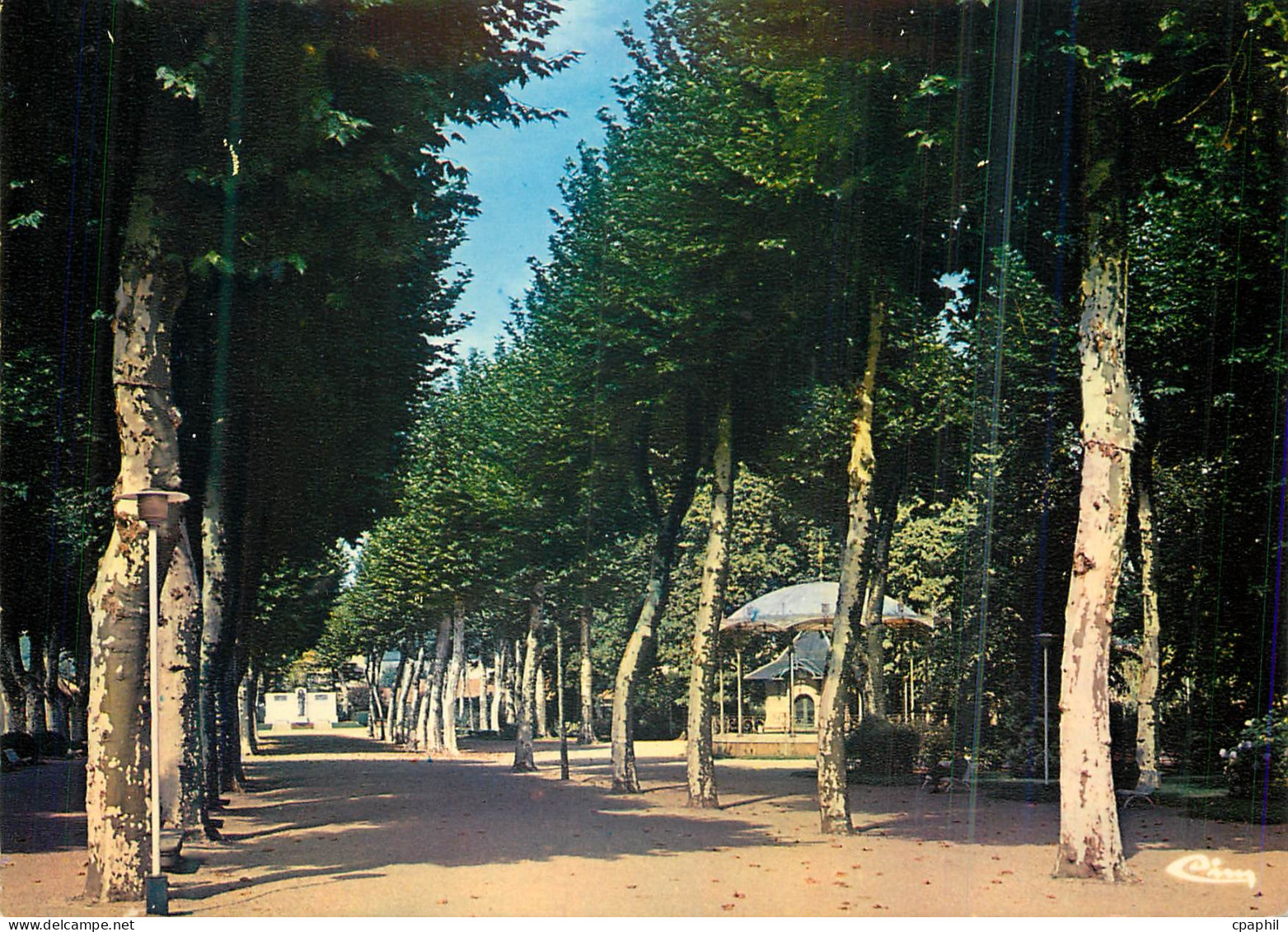 CPM Mazamet (Tarn) Le Jardin public
