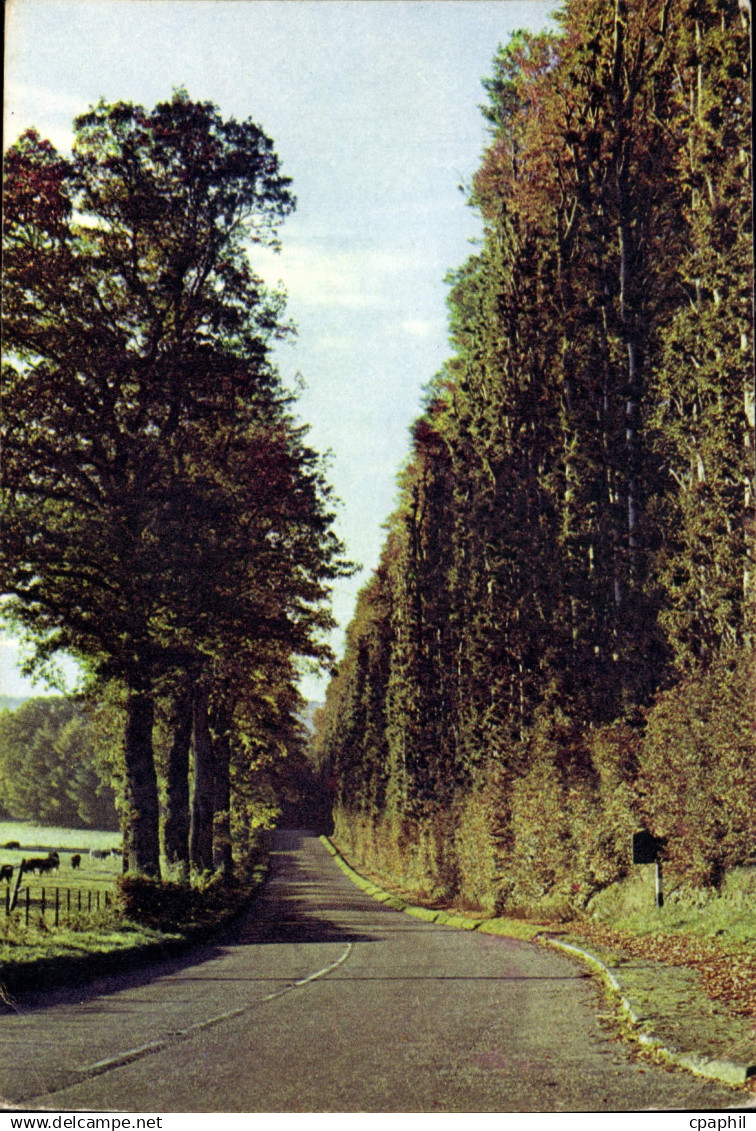 CPM Meikleour