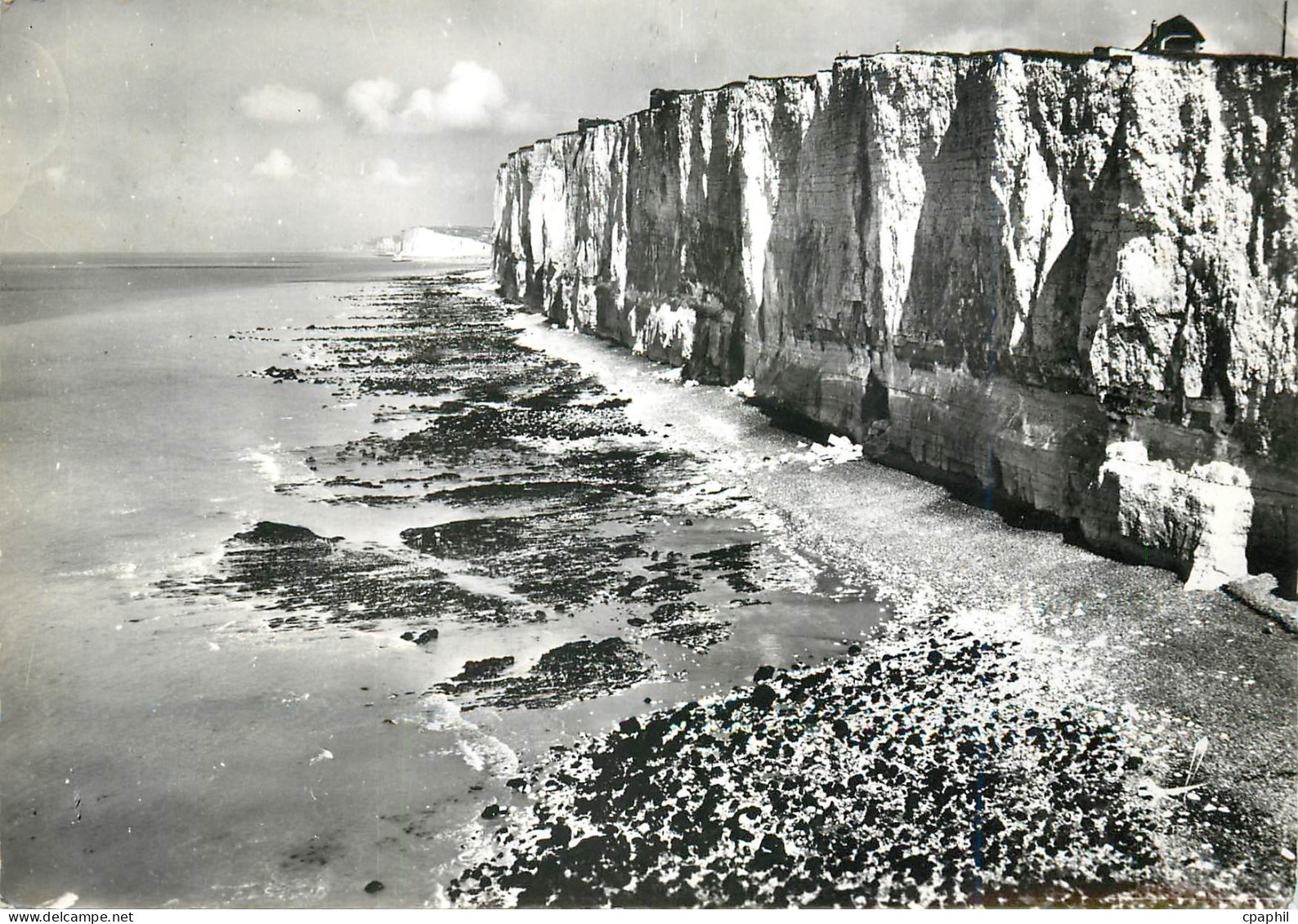CPM Mesnil Val (Seine Maritime) Les Falaises