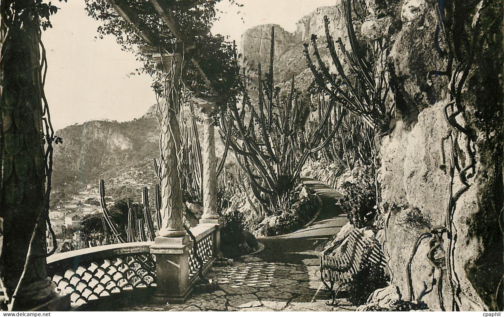 CPM Monaco Le jardin exotique