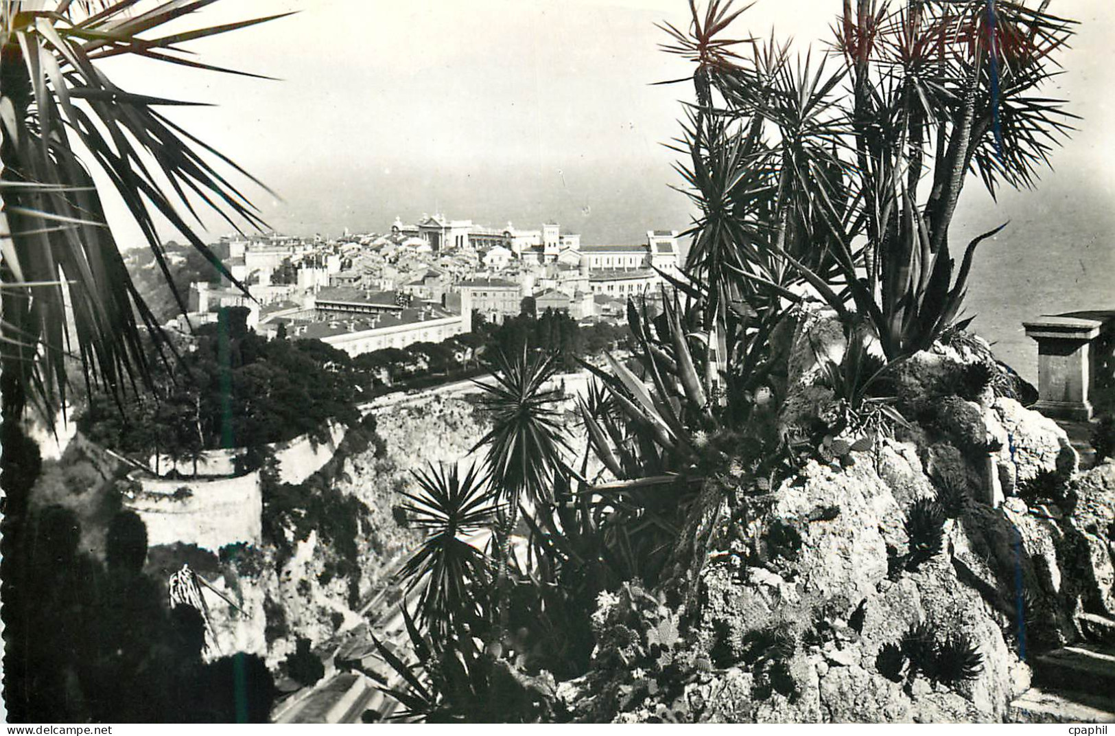 CPM Monaco Le rocher vu du Jardin exotique