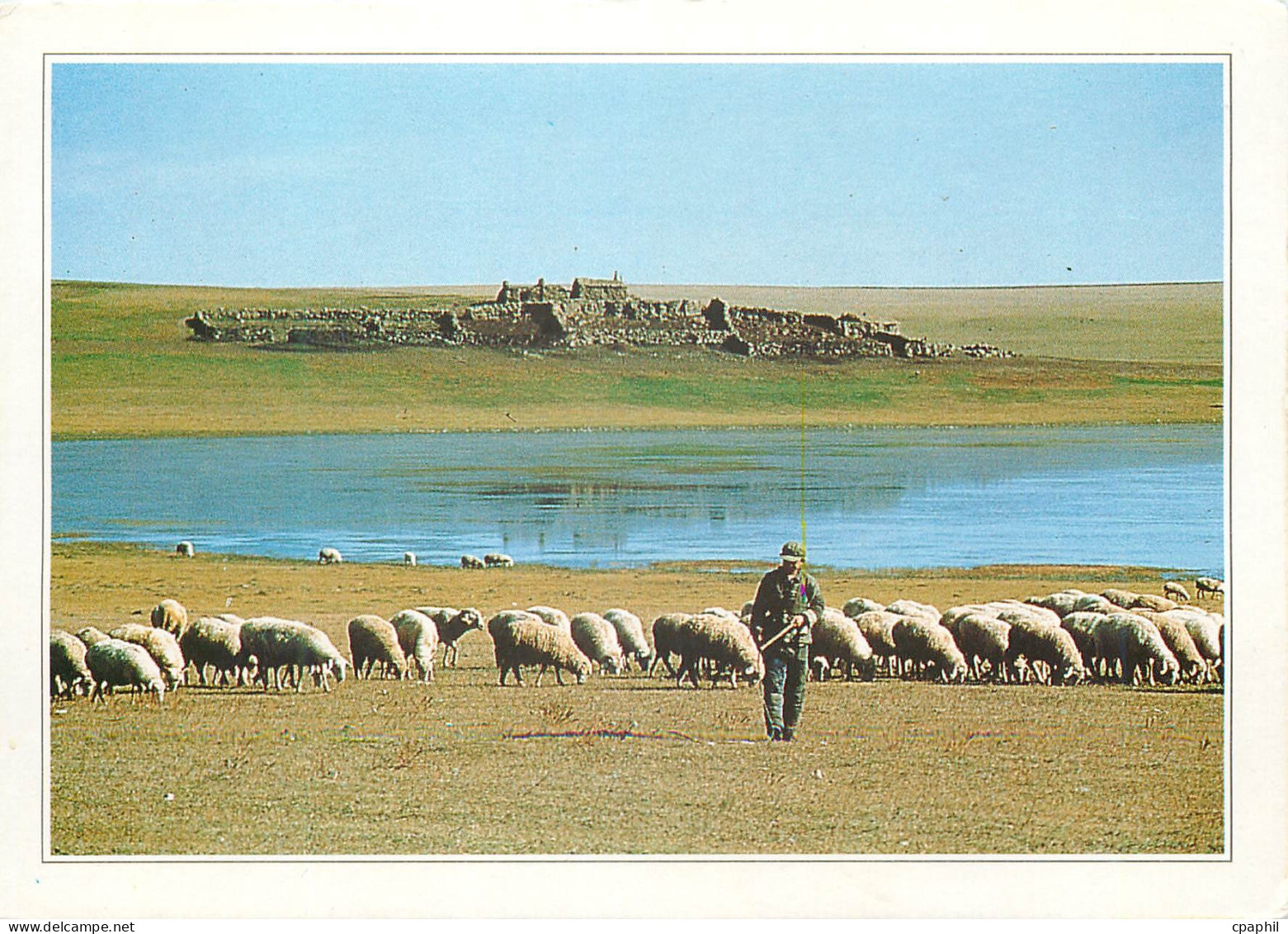 CPM Mongolie exterieure La steppe