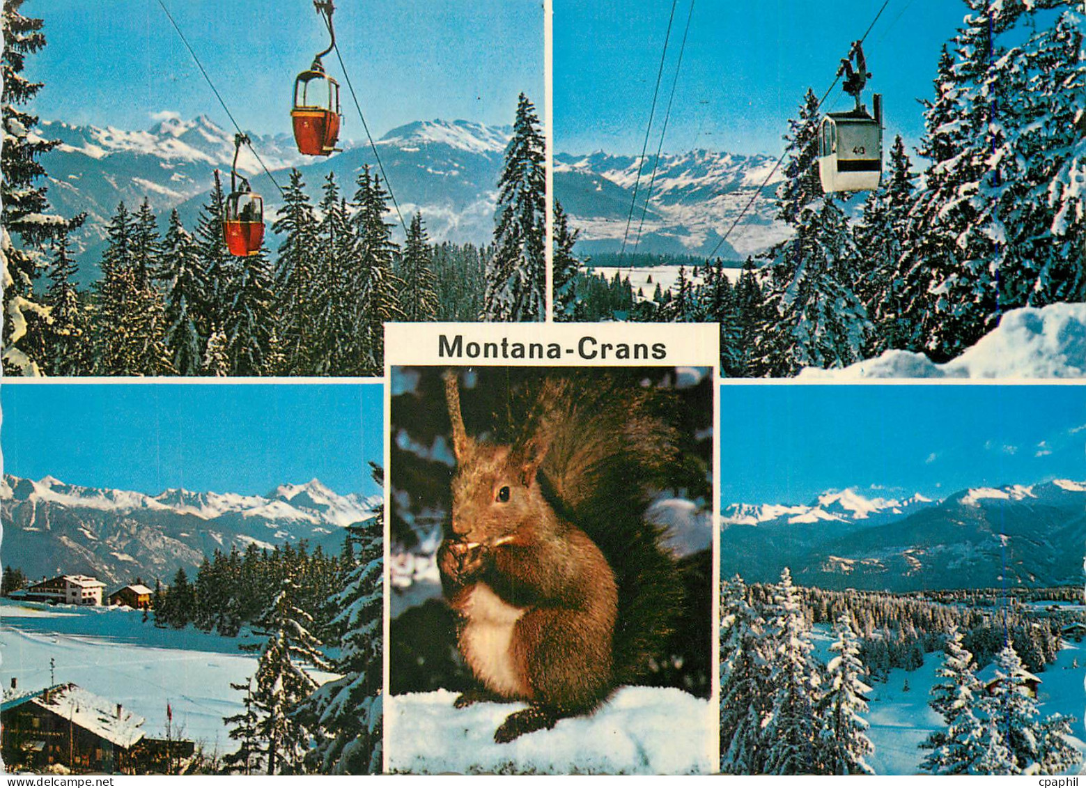 CPM Montana Crans Ecureuil