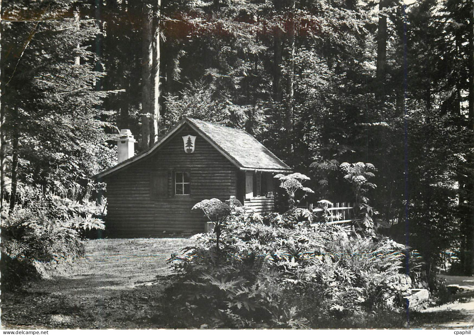 CPM Montricher La Frederique