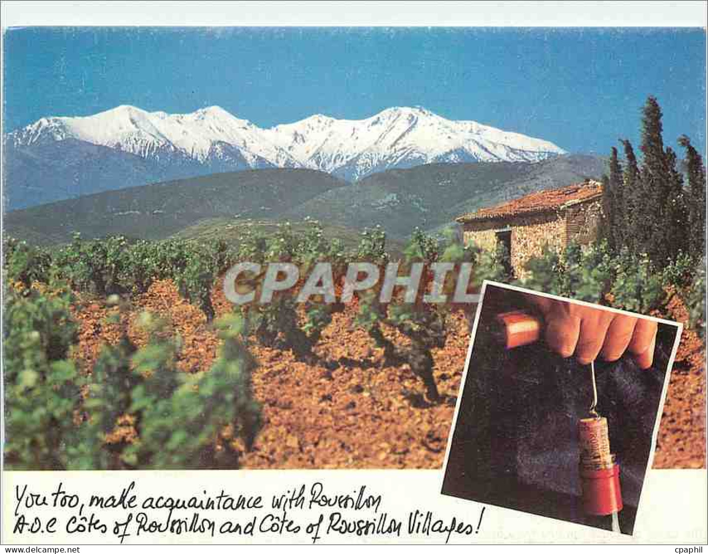 CPM Mount Canigou Roussillon France