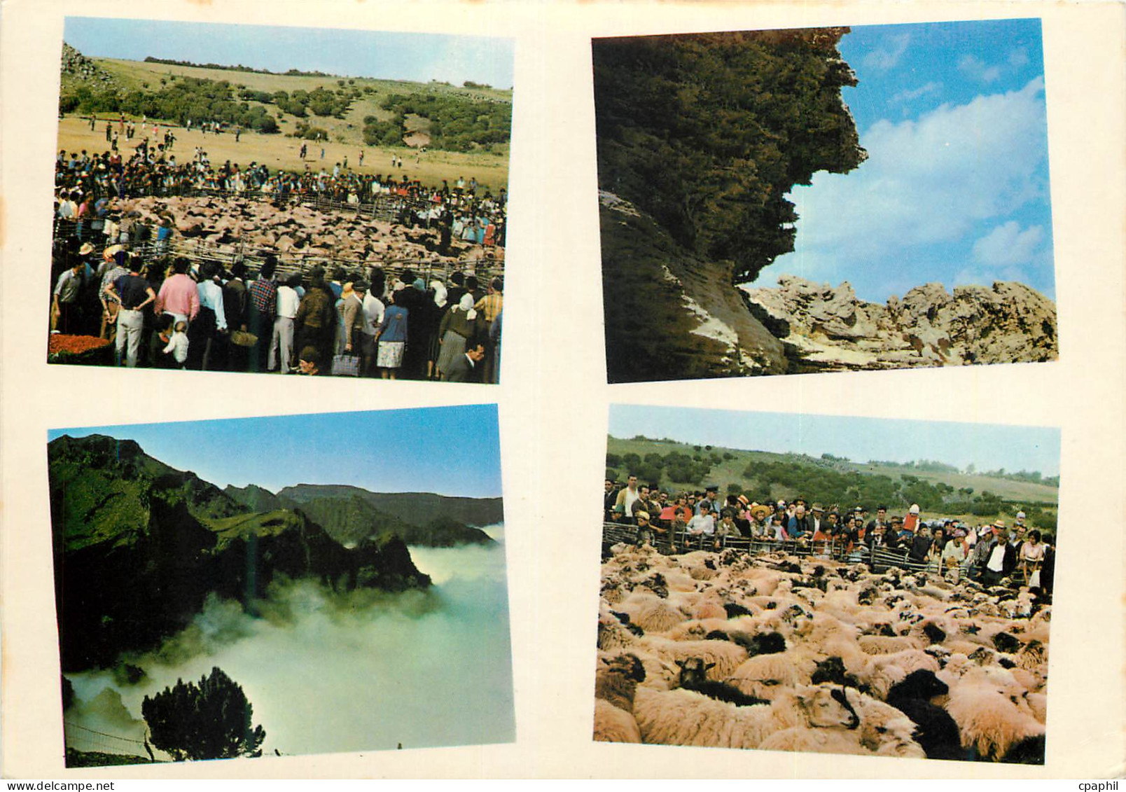 CPM N 23 serros de madeira des monts de madeira