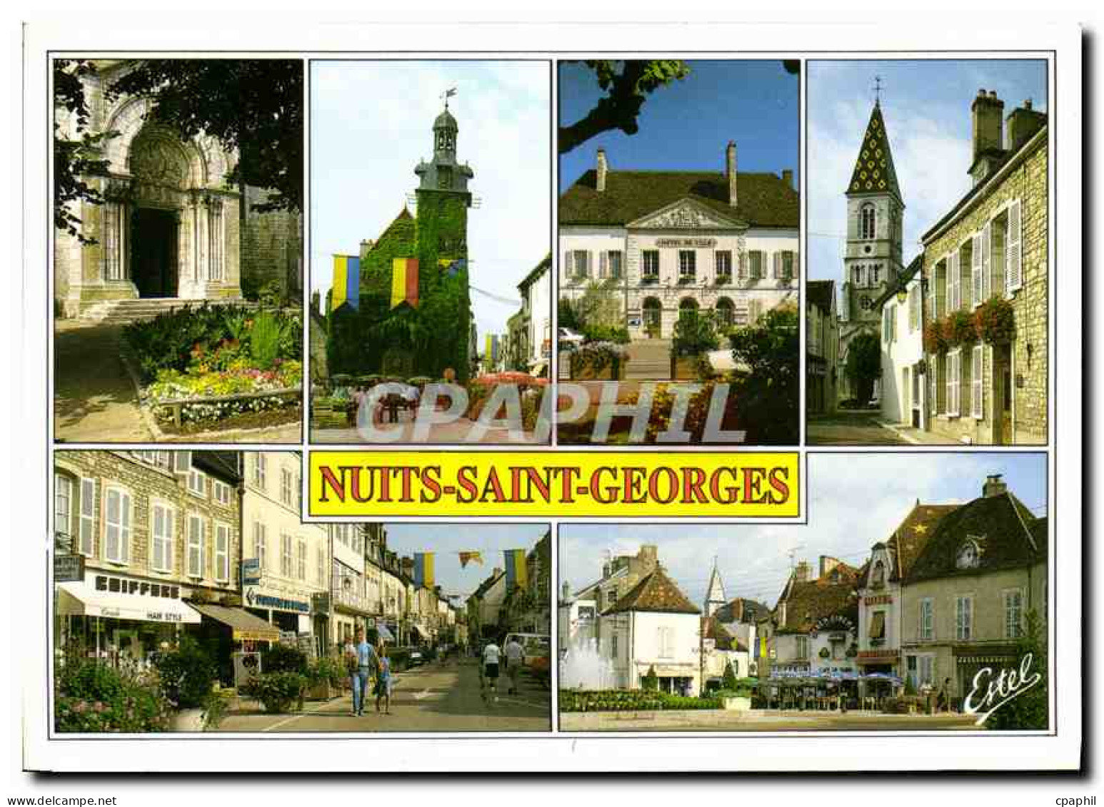 CPM Nuits Saint Georges Cote d'Or