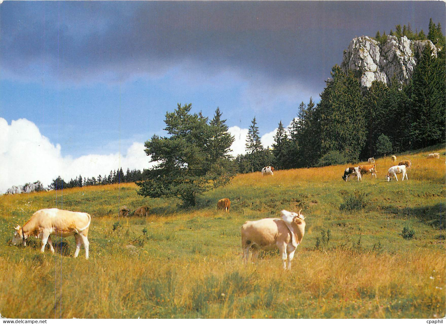 CPM Paysage idyllique du Jura