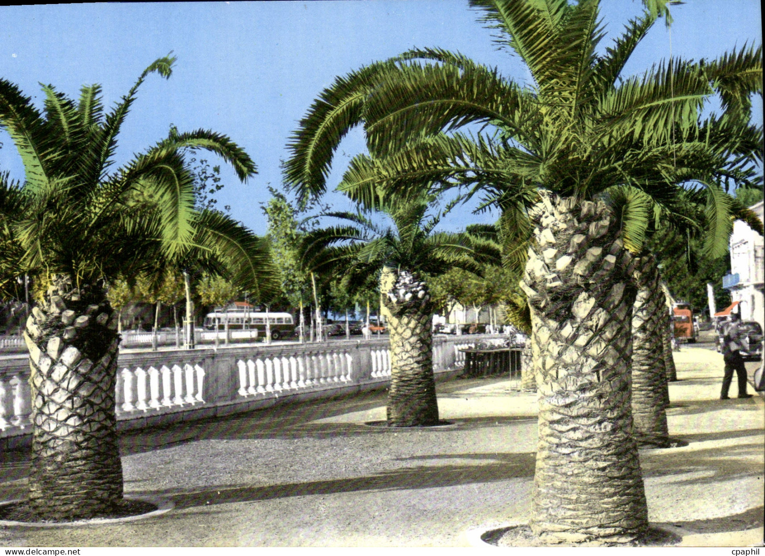 CPM Perpignan Le Palmarium