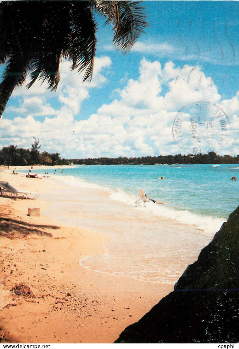 CPM Playas de la Isla Domingo