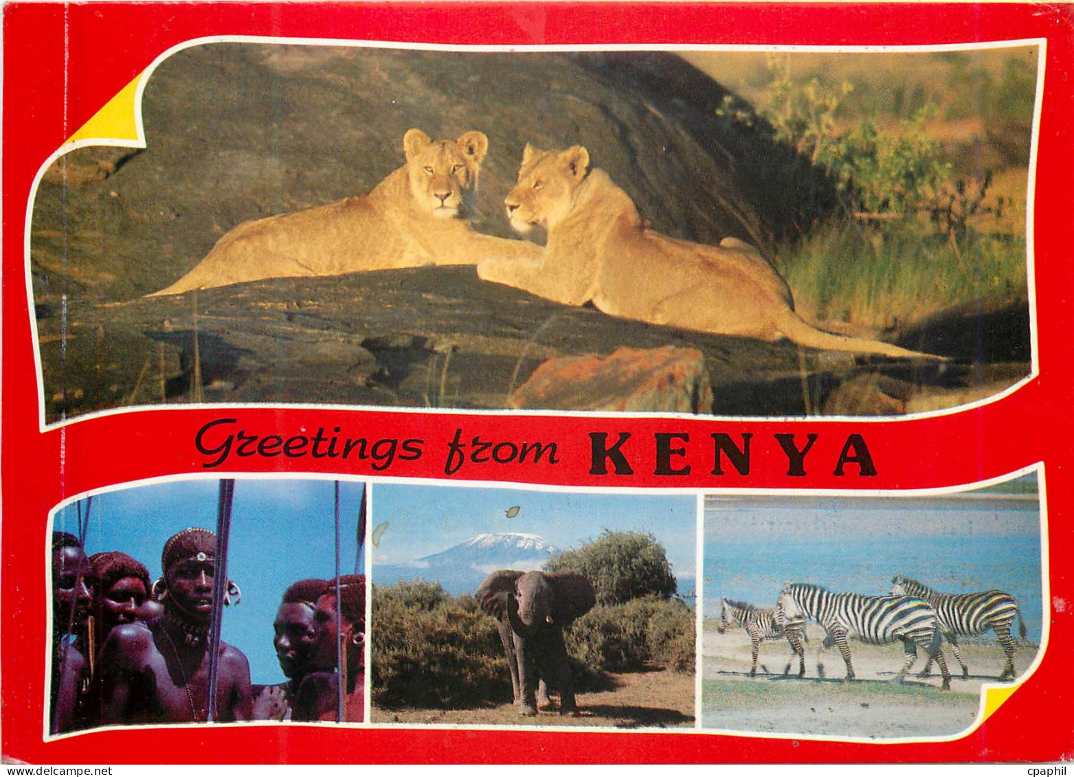 CPM Popular Kenya scenes Kenya Lion Zebre Zebra