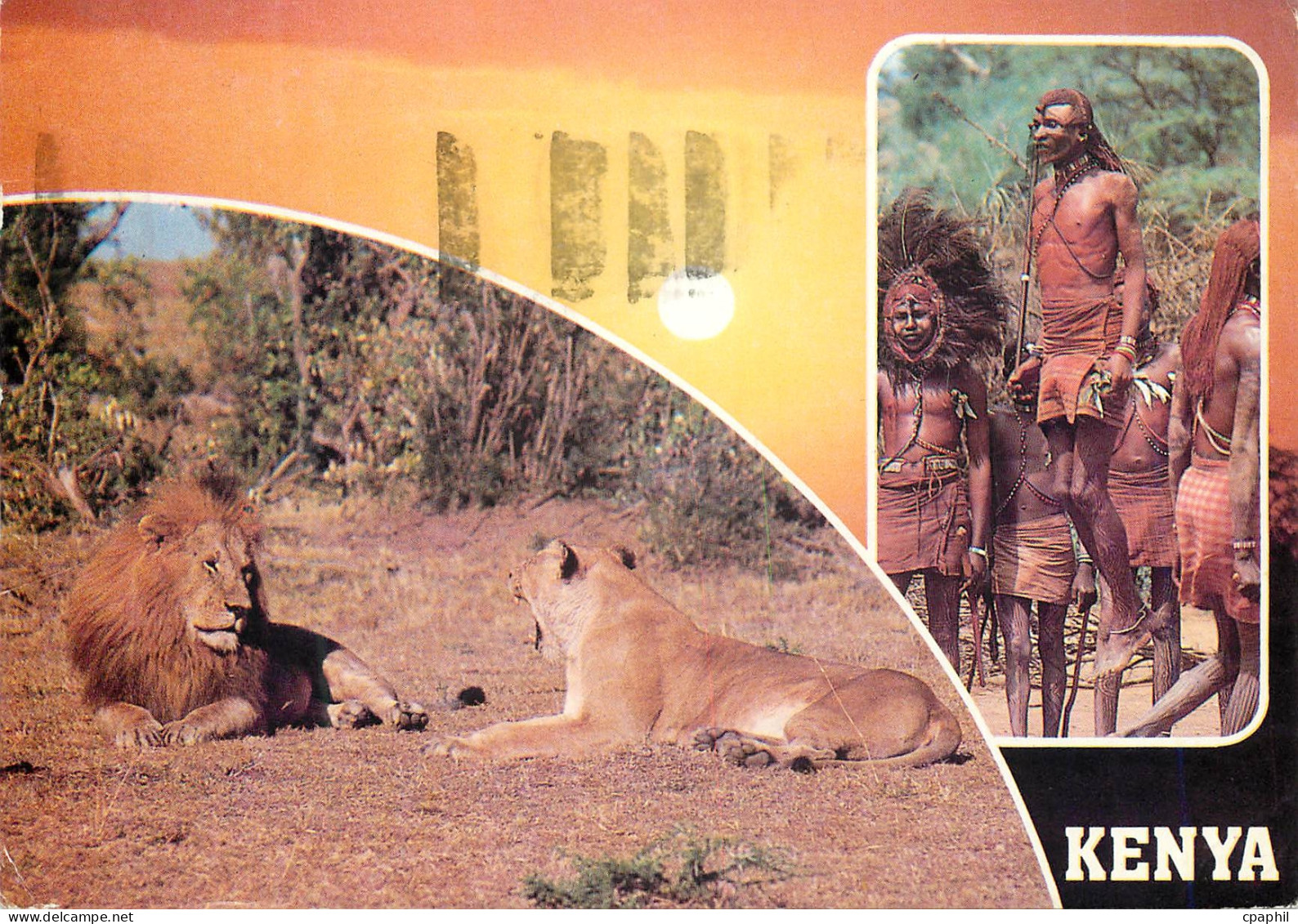 CPM Popular kenya scenes Lion