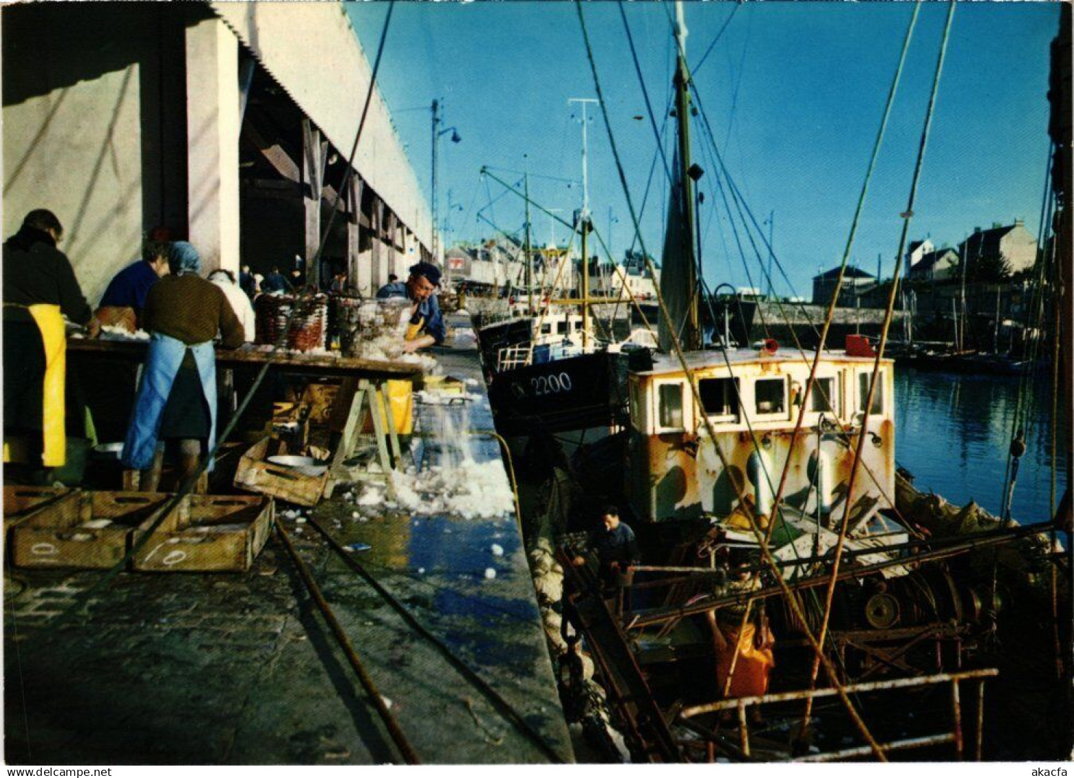CPM Port en Bessin Le Port FRANCE (1335758)
