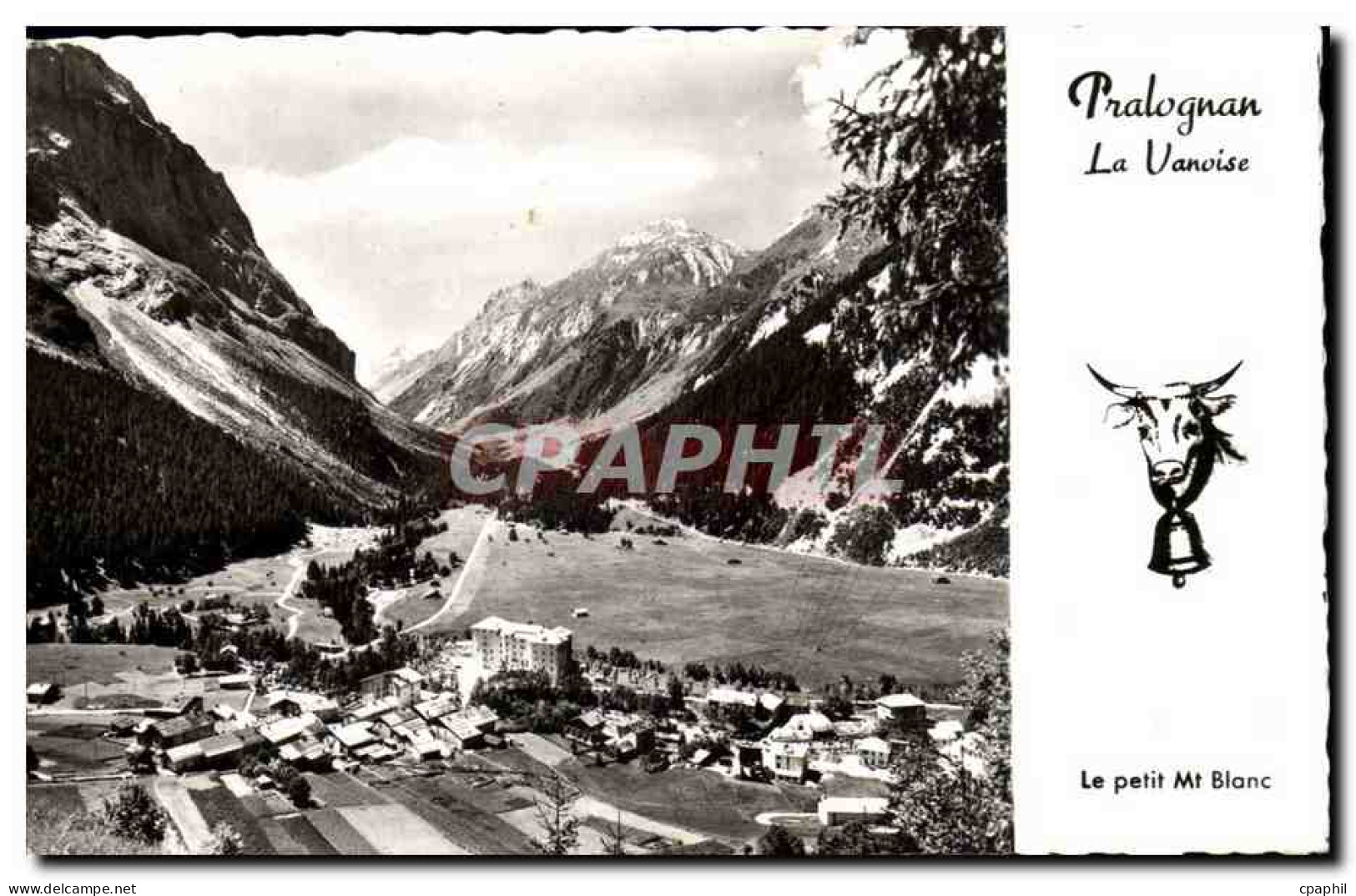 CPM Pralognan La Vanoise le petit Mont Blanc Vache