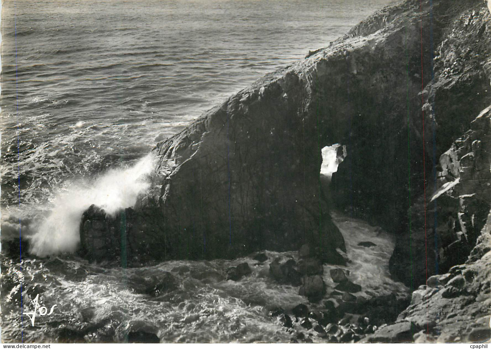 CPM Presqu'Ile de Quiberon (Morbihan)