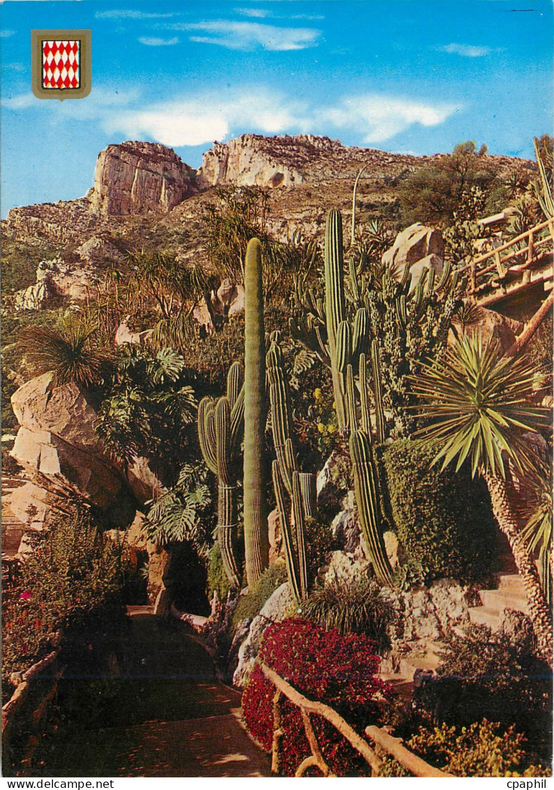 CPM PRINCIPAUTE DE MONACO le jardin Exotique