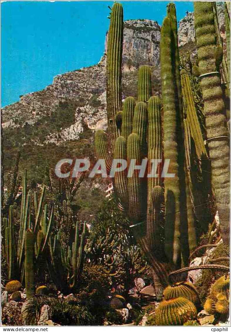 CPM Principaute de Monaco Le jardin Exotique