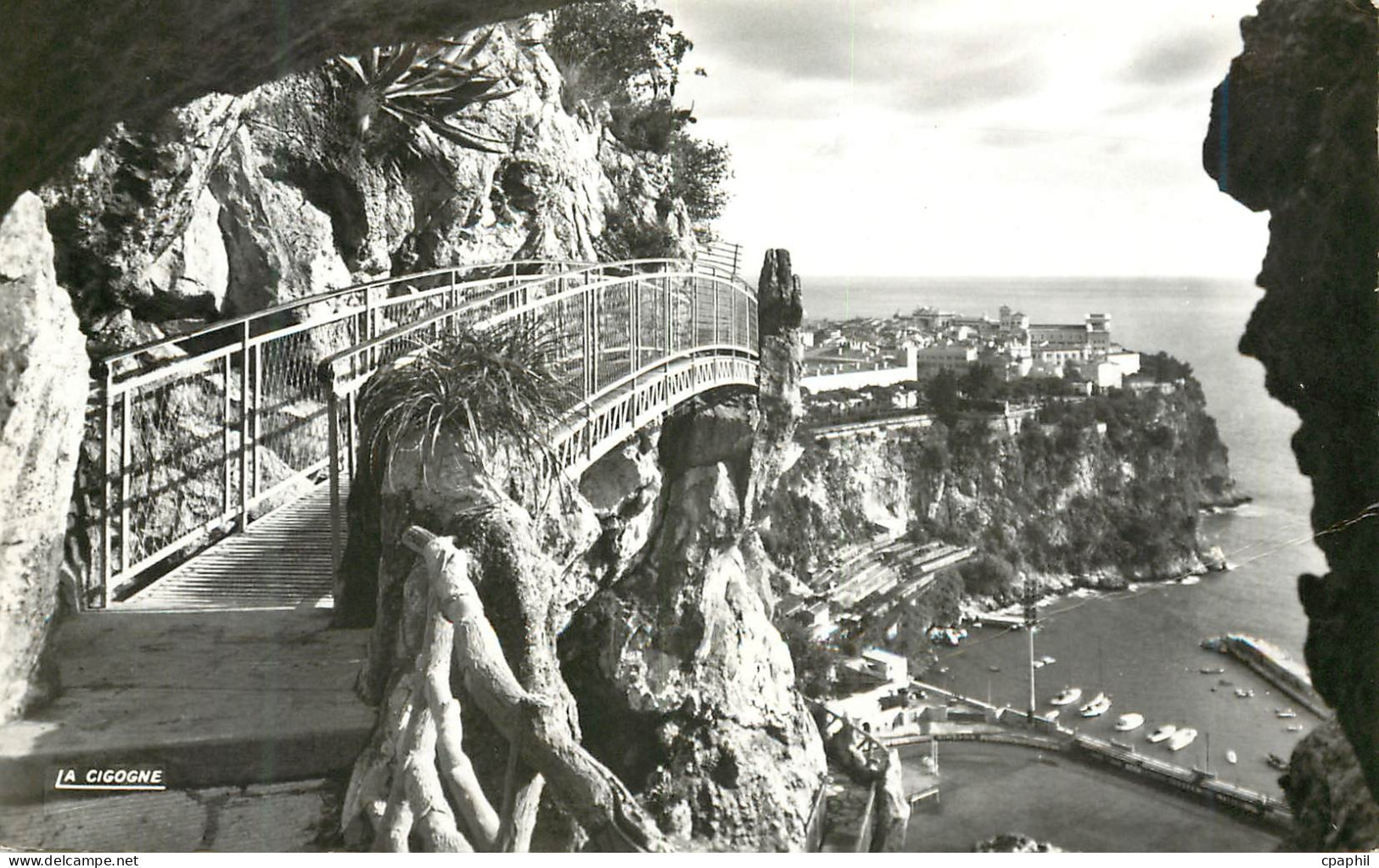 CPM Principaute de Monaco Le rocher et le Stade Louis II vus du Jardin exotique
