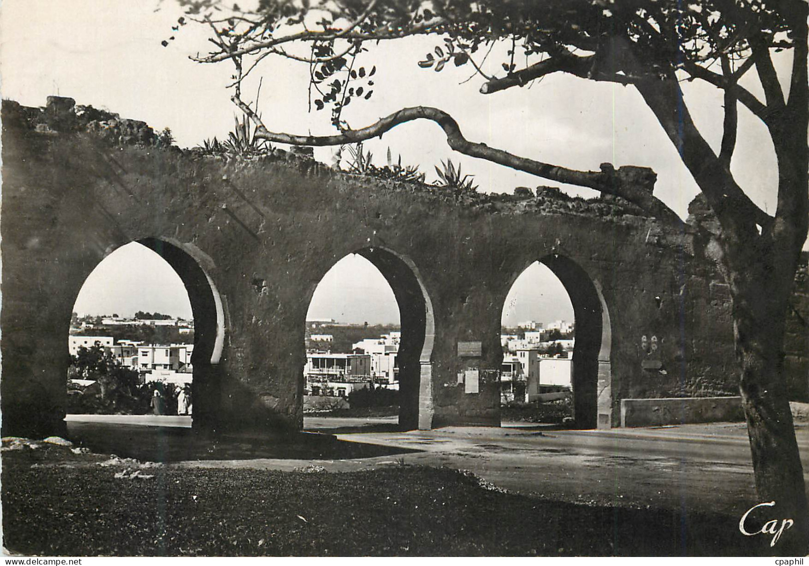 CPM Rabat Les trois portes