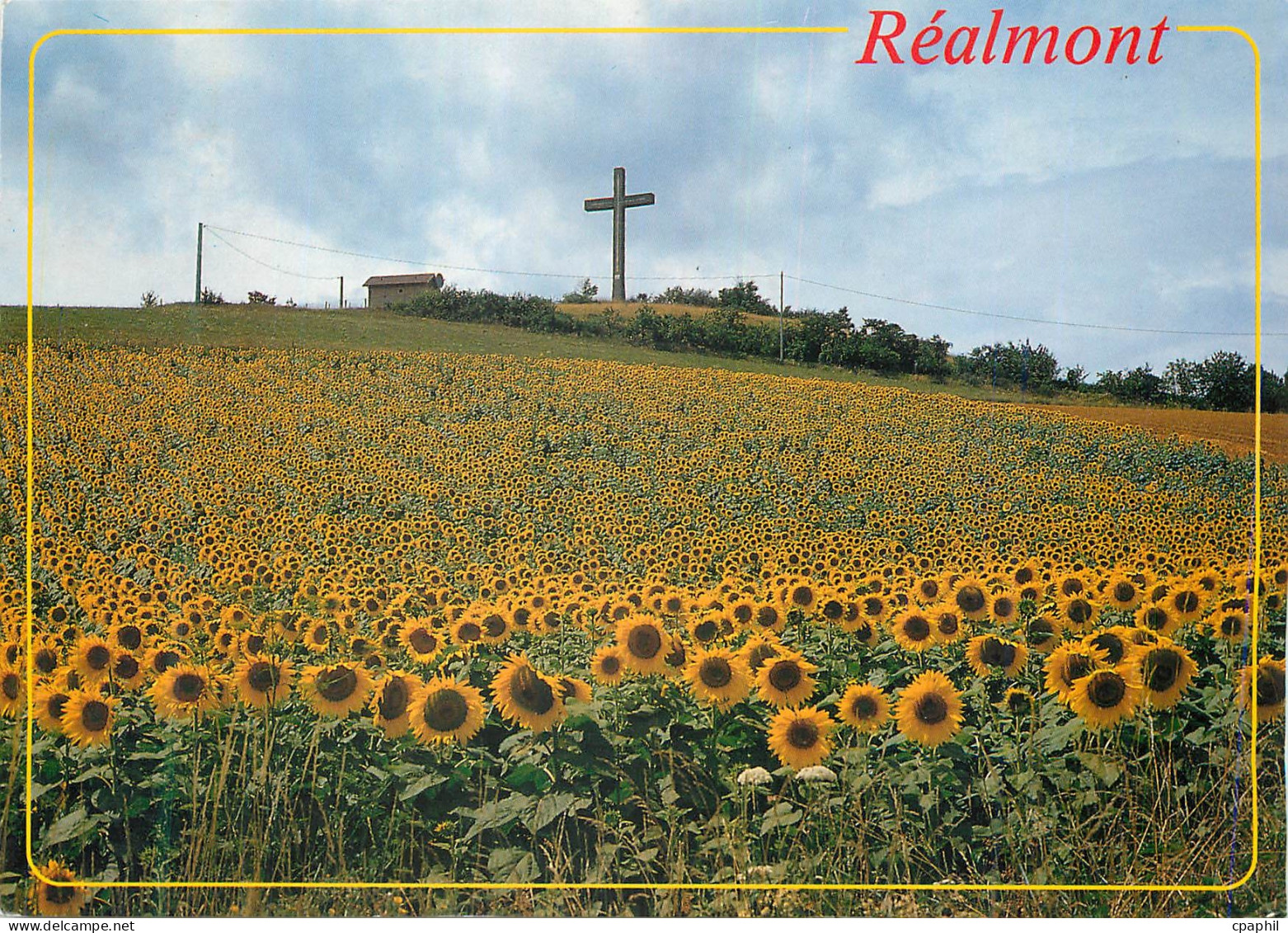 CPM Realmont (Tarn) La Croix du Caylou
