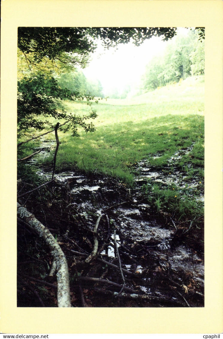 CPM Ref Ruisseau