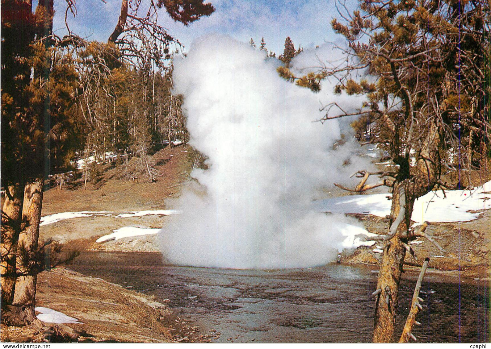 CPM Riverside Geyser Yellowstone National Park