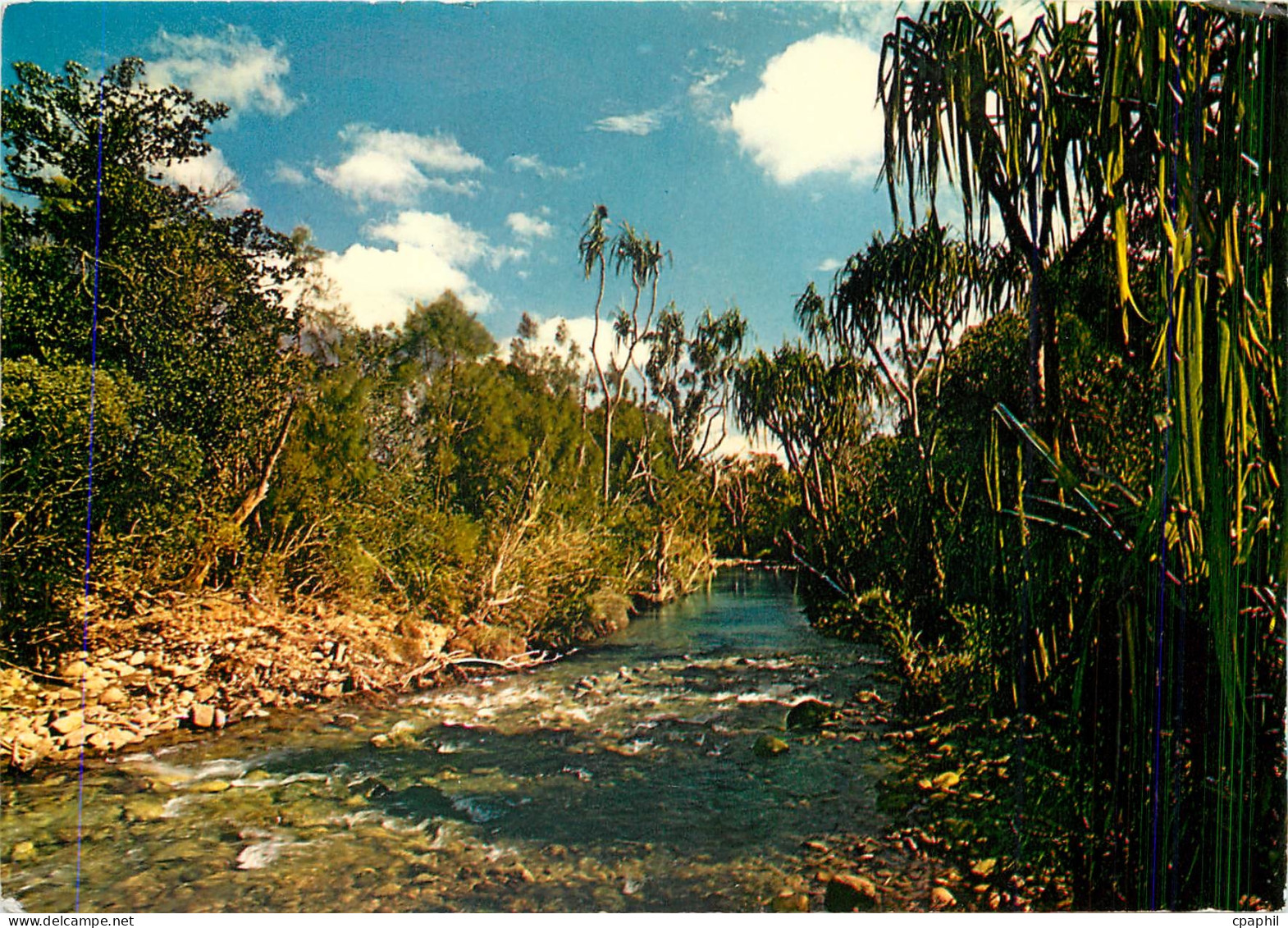 CPM Riviere de la Baraoua Cote Ouest Nouvelle Caledonie