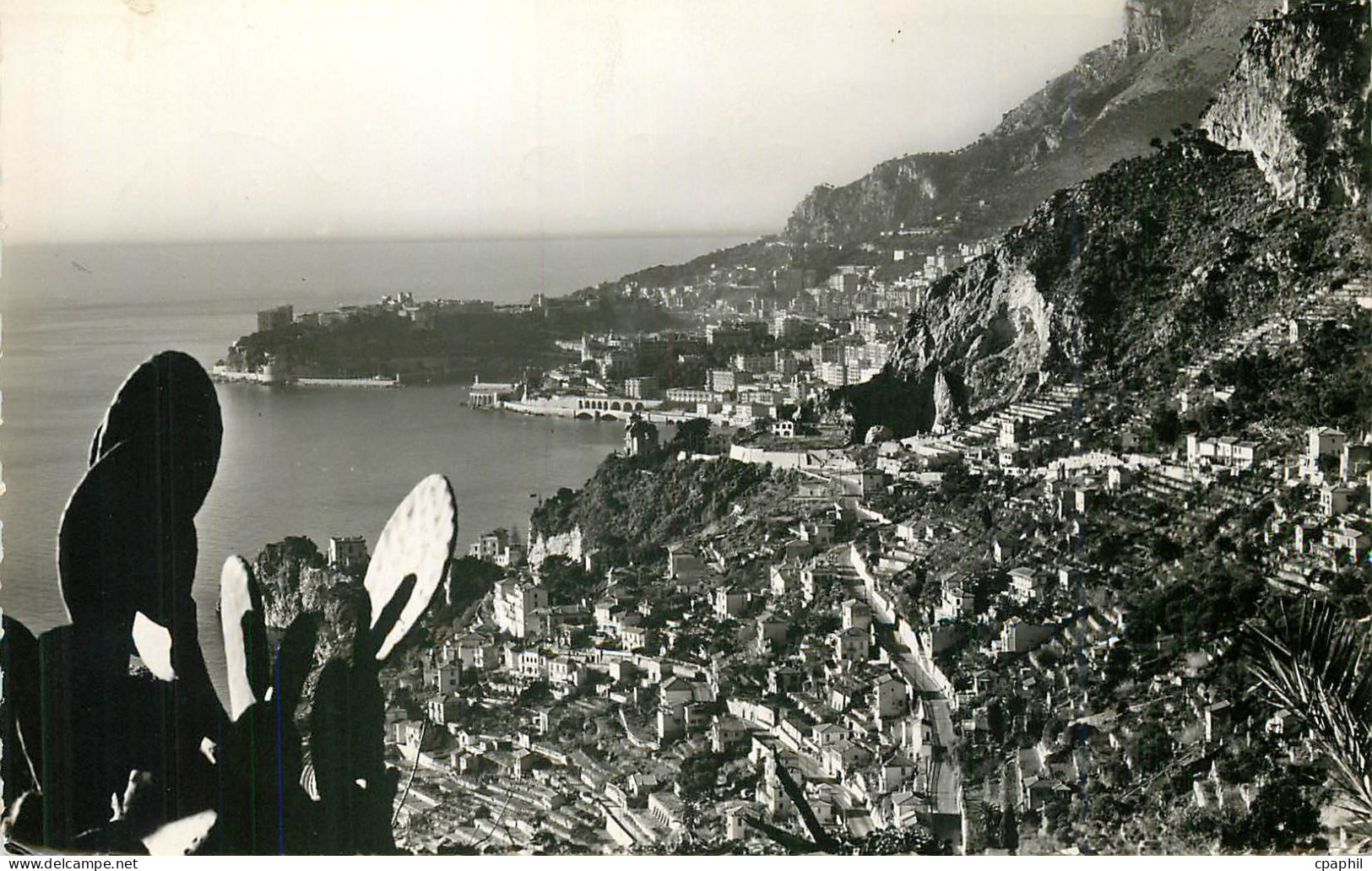 CPM Roquebrune Cap Martin Vue Generale Au fond Monte Carlo et le Rocher de Monaco