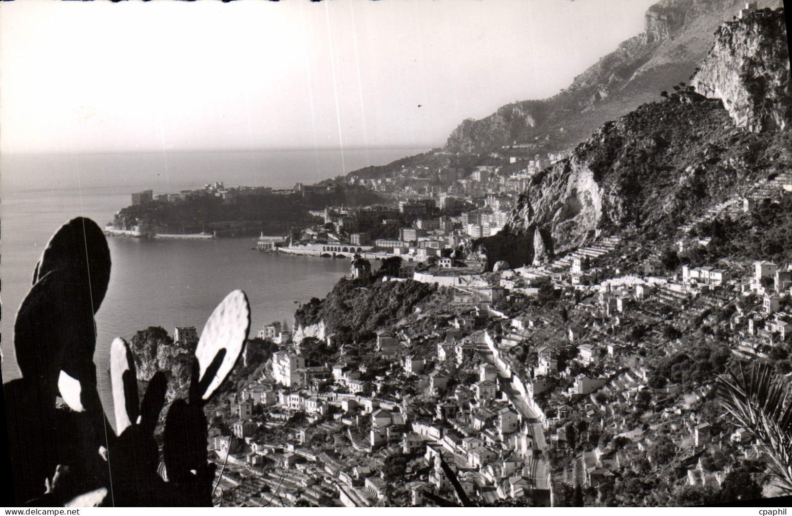 CPM Roquebrune Cap Martin Vue generale Au fond Monte Carlo et le rocher de Monaco