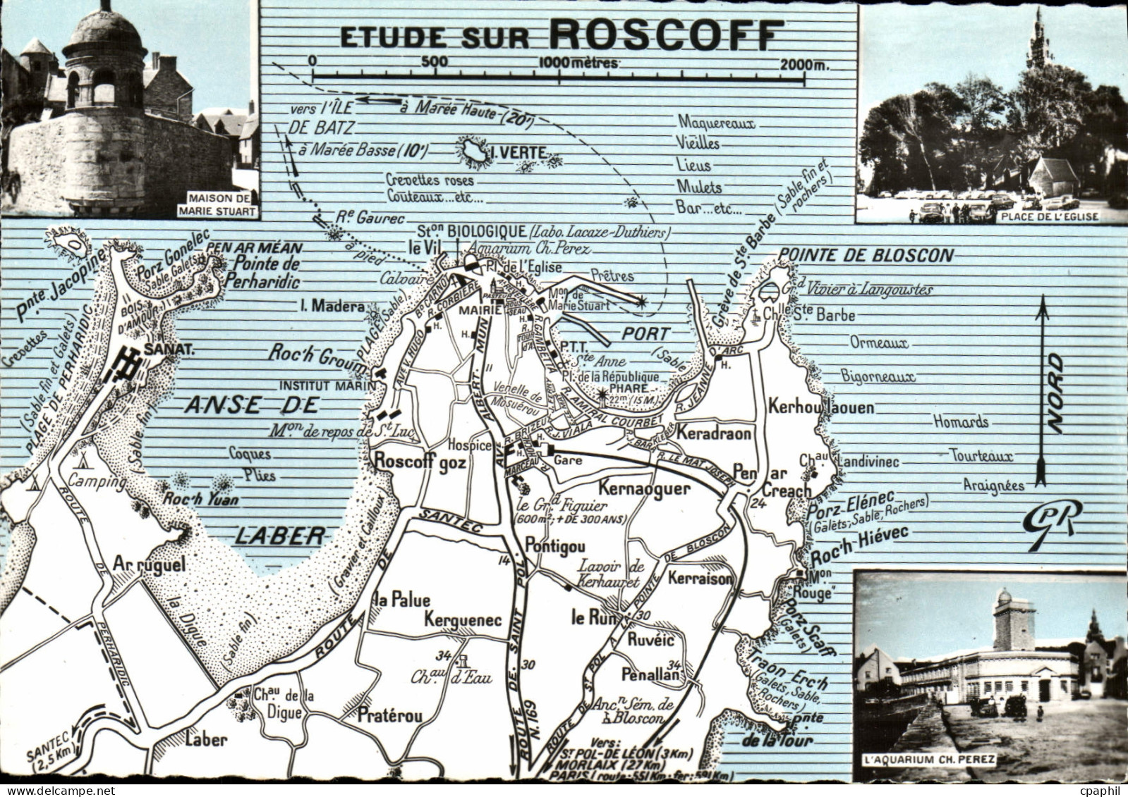 CPM Roscoff