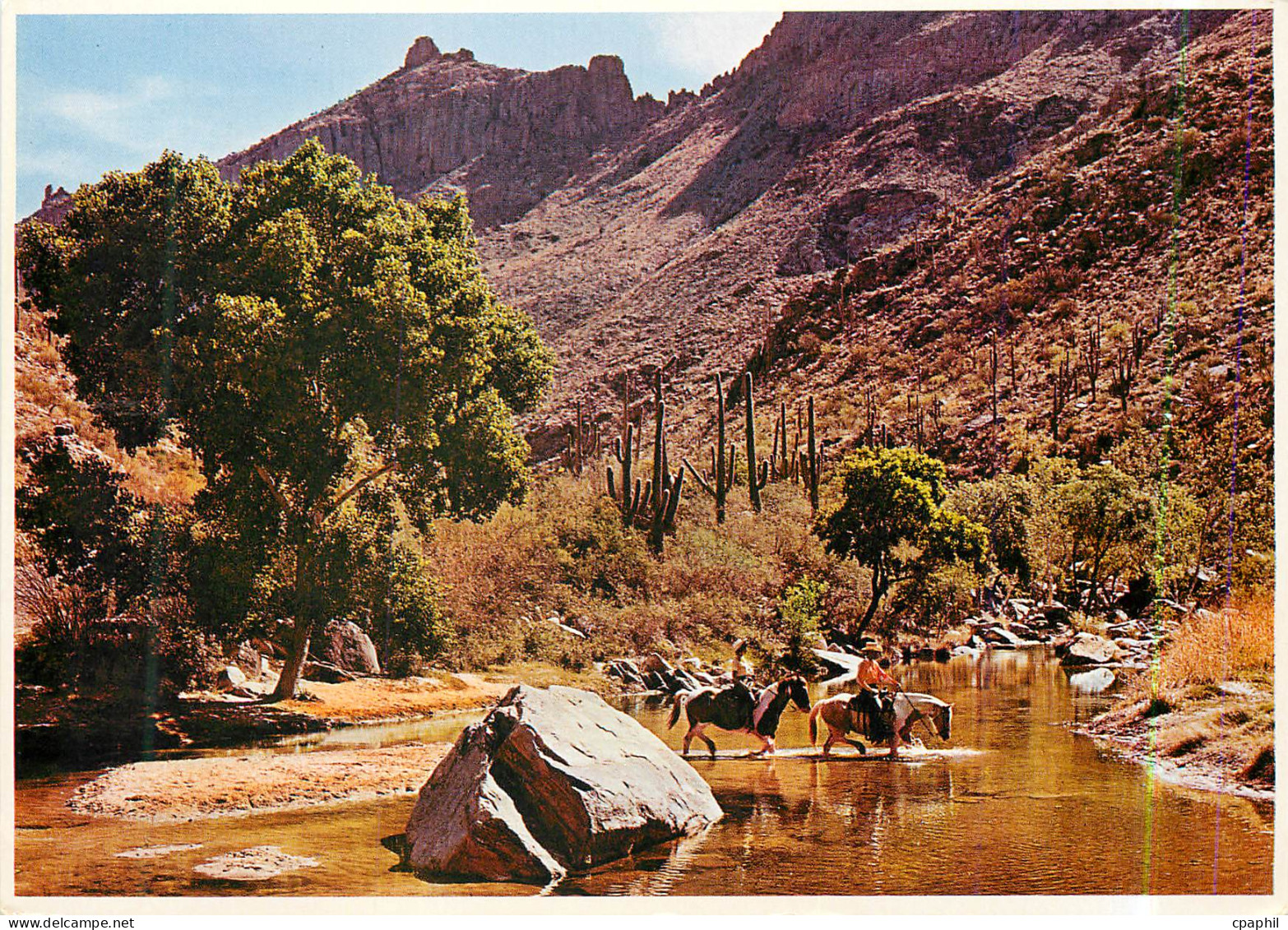 CPM Sabino Canyon Tucson Arizona