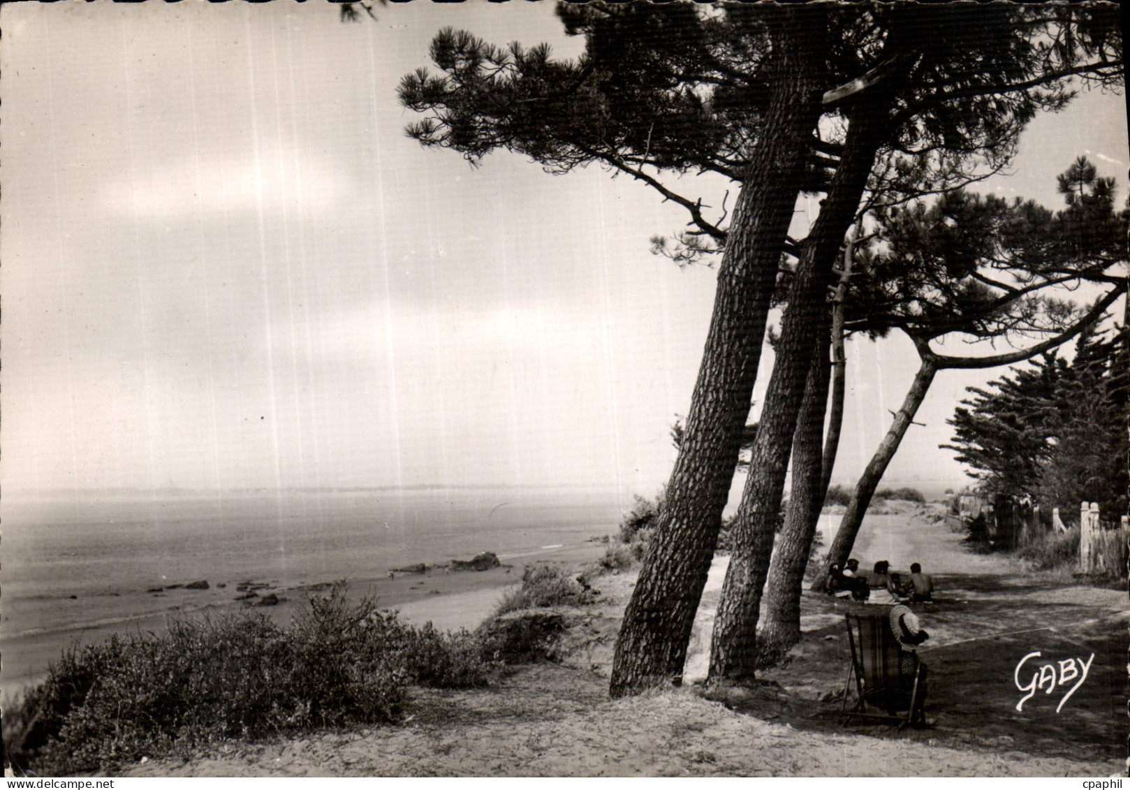 CPM Saint Brevin l'Ocean L Inf La Plage du Pointeau et les Pins