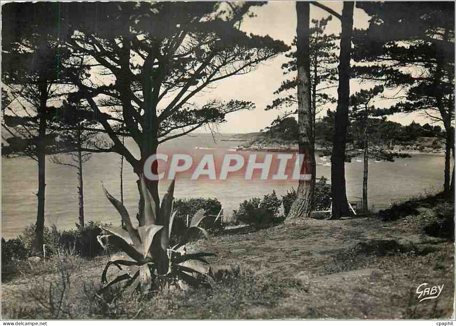 CPM Saint Briac L et V La Pointe des Essarts