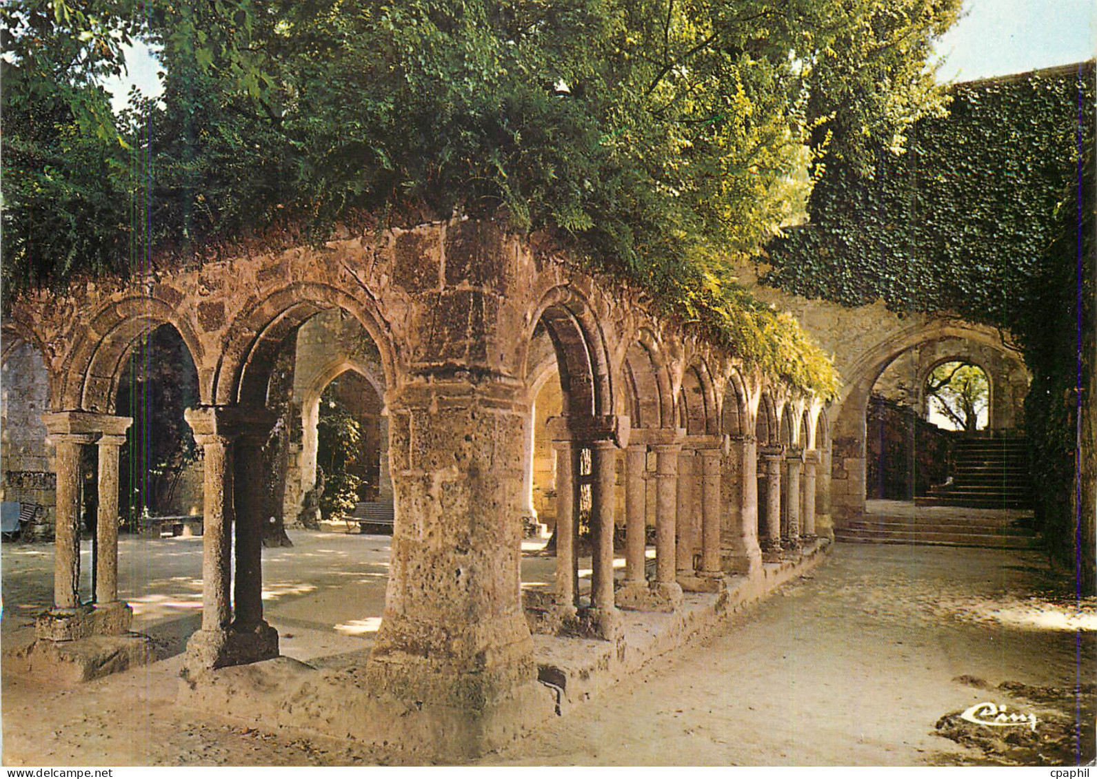 CPM Saint Emilion (Gironde)