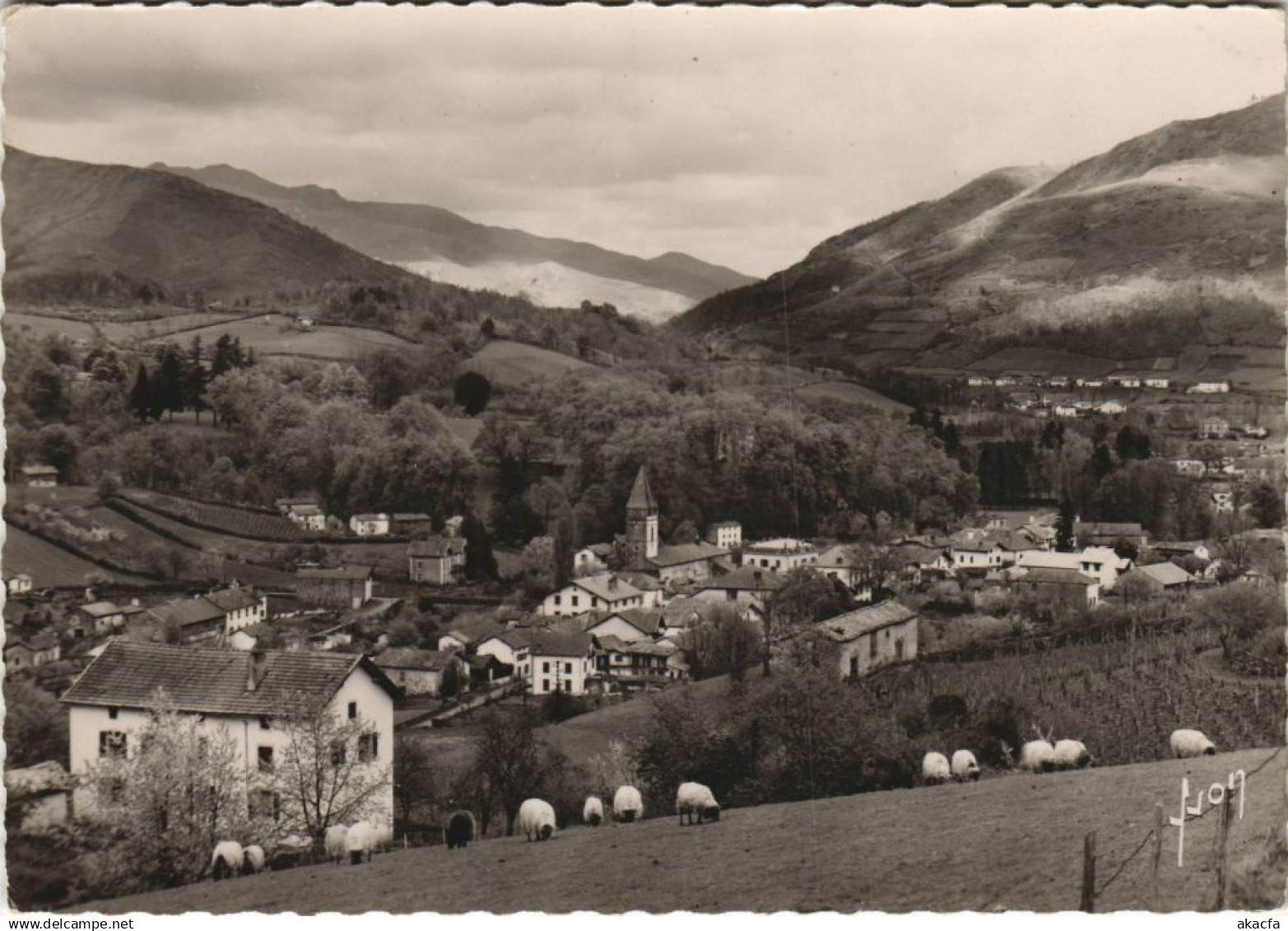 CPM SAINT-ETIENNE-de-BAIGORRY Vue Generale (1167581)