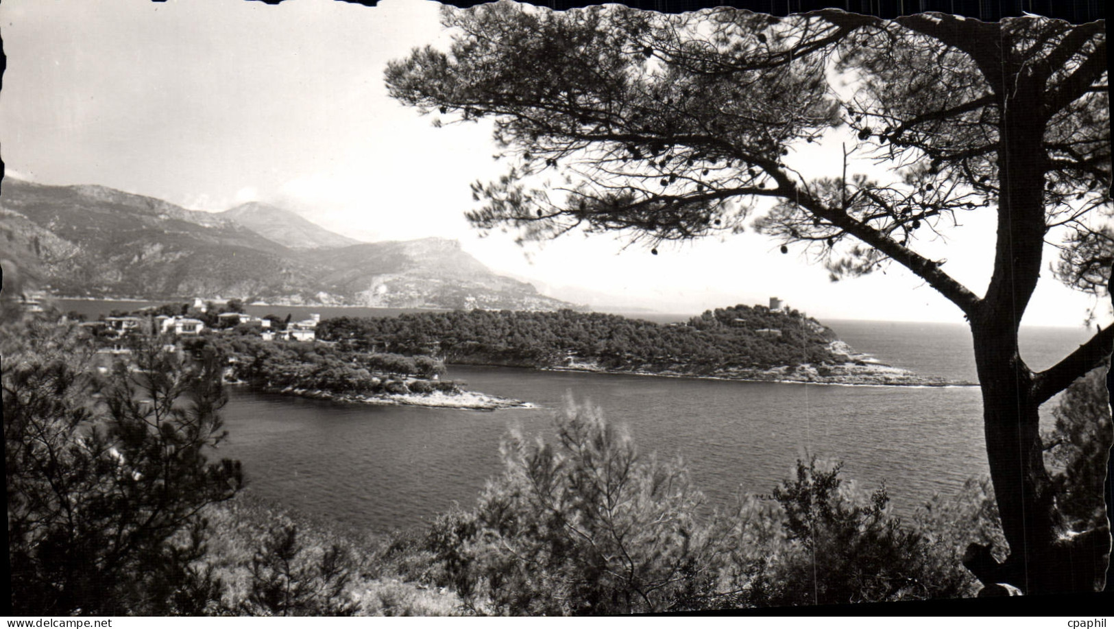 CPM Saint Jean Cap Ferrat Vue Sur Saint Hosplace Cap d'Ail et la tete de chien