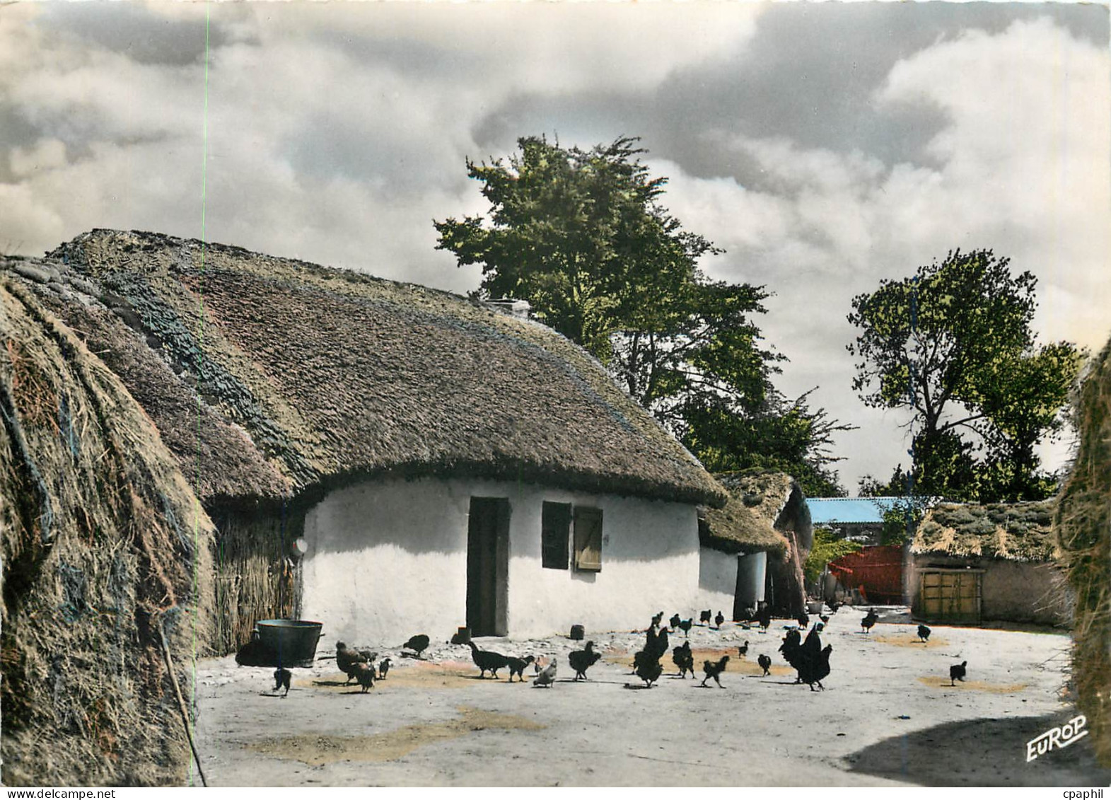 CPM Saint Jean de Monts (Vendee) Une bourine Poules