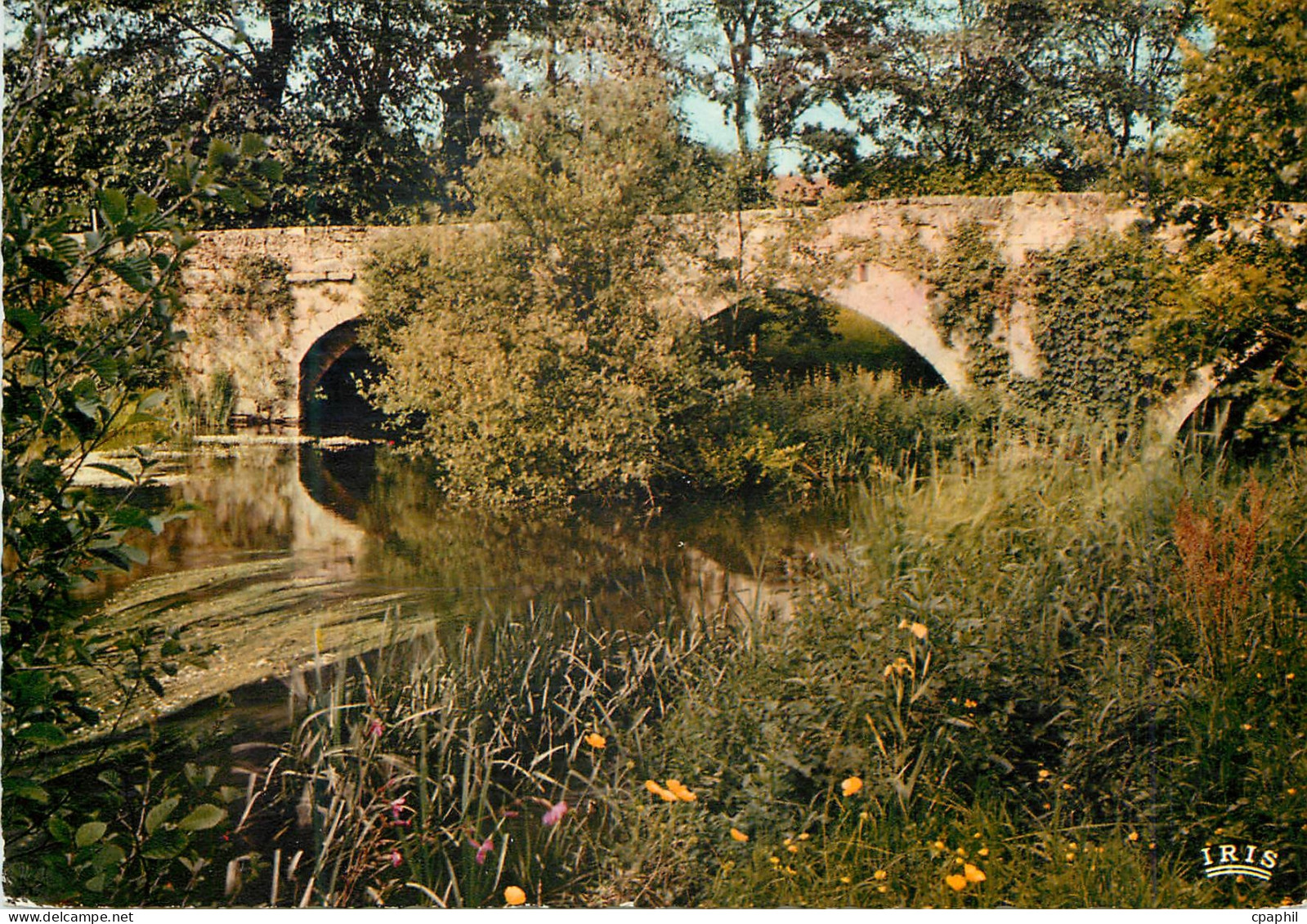 CPM Saint Junien Hte Vienne Le Pont Sainte Elisabeth