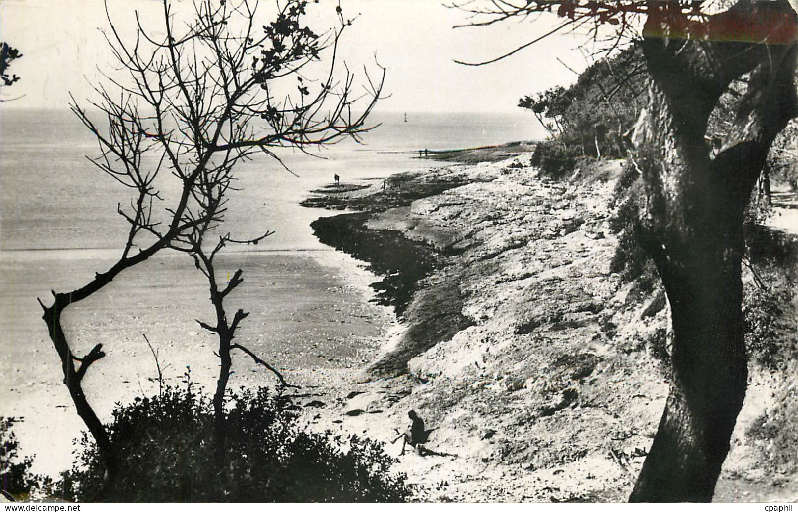 CPM Saint Palais sur Mer Charente Maritime Plage du Concier