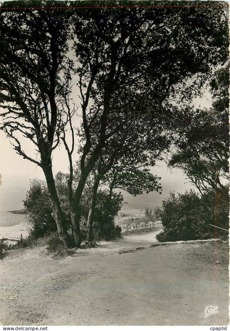CPM Saint Palais sur Mer Le chemin