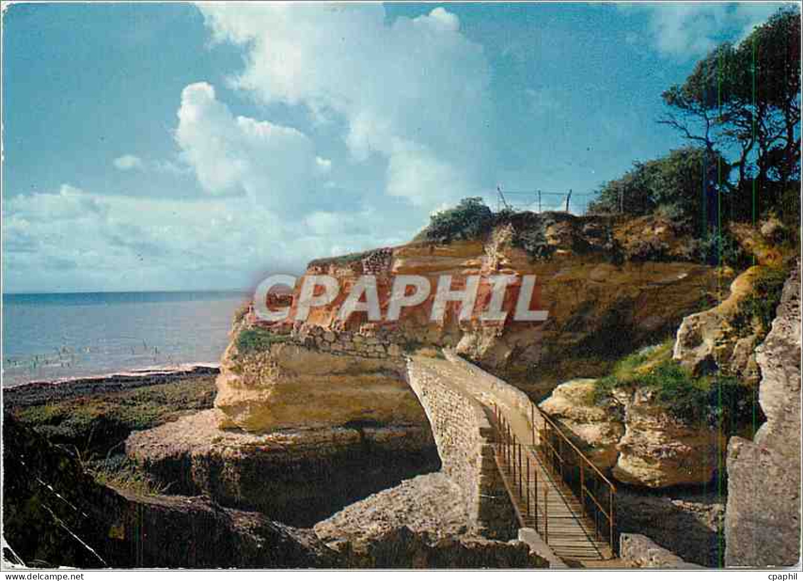 CPM Saint Palais sur Mer Le Pont de la Crniche