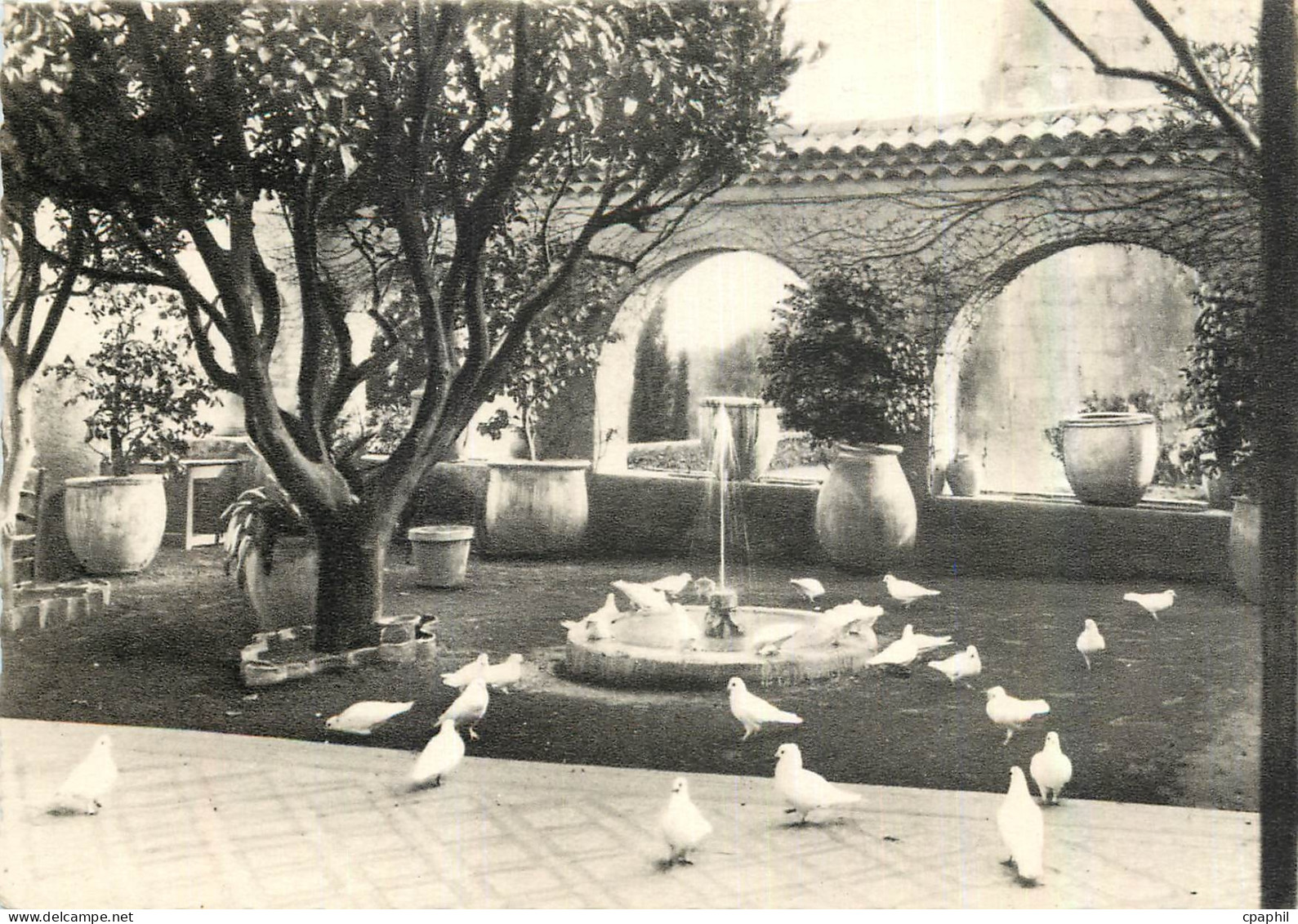 CPM Saint Paul Les Colombes et un coin des jardins de la Colombe d'Or