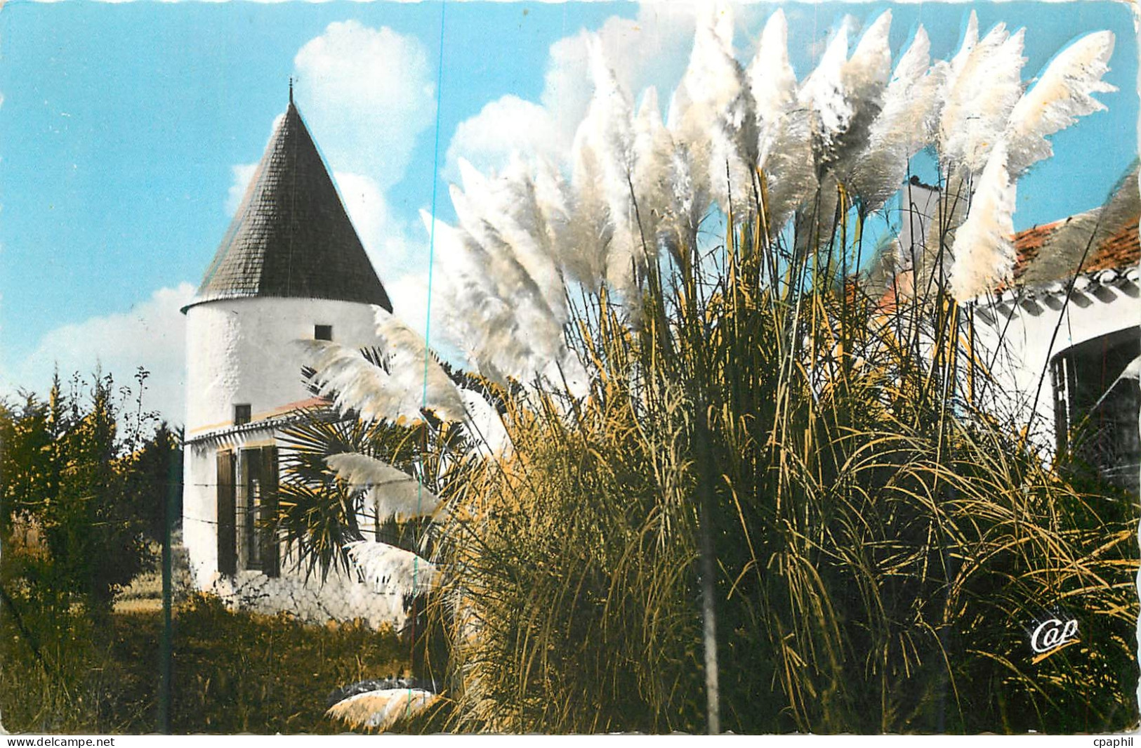 CPM Saint-Pierre-d'Oleron (Ile d'Oleron) Le Moulin du Coivre