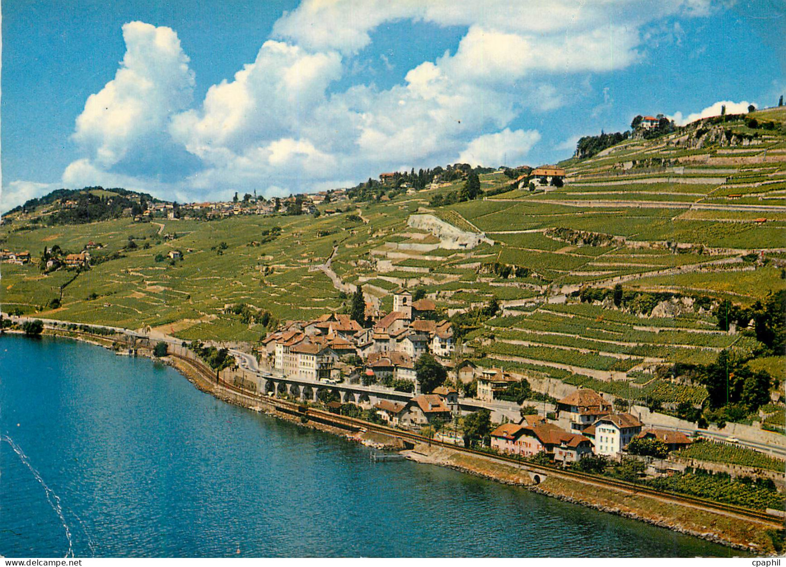 CPM Saint Saphorin pres Vevey Vignobles de Lavaux Lac Leman Photoglob Wehrli S A Zurich Vevey