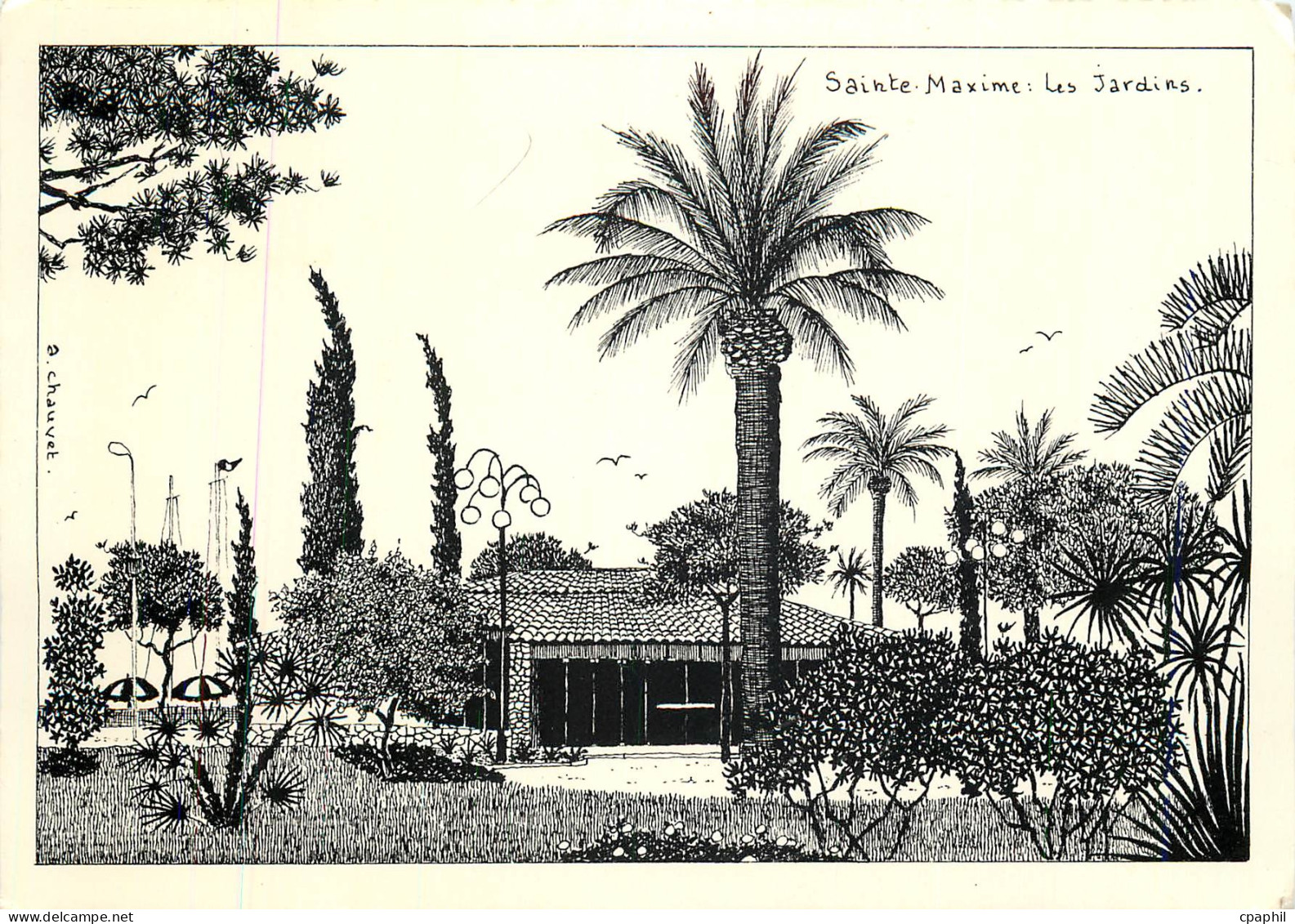 CPM Sainte Maxime Les Jardins