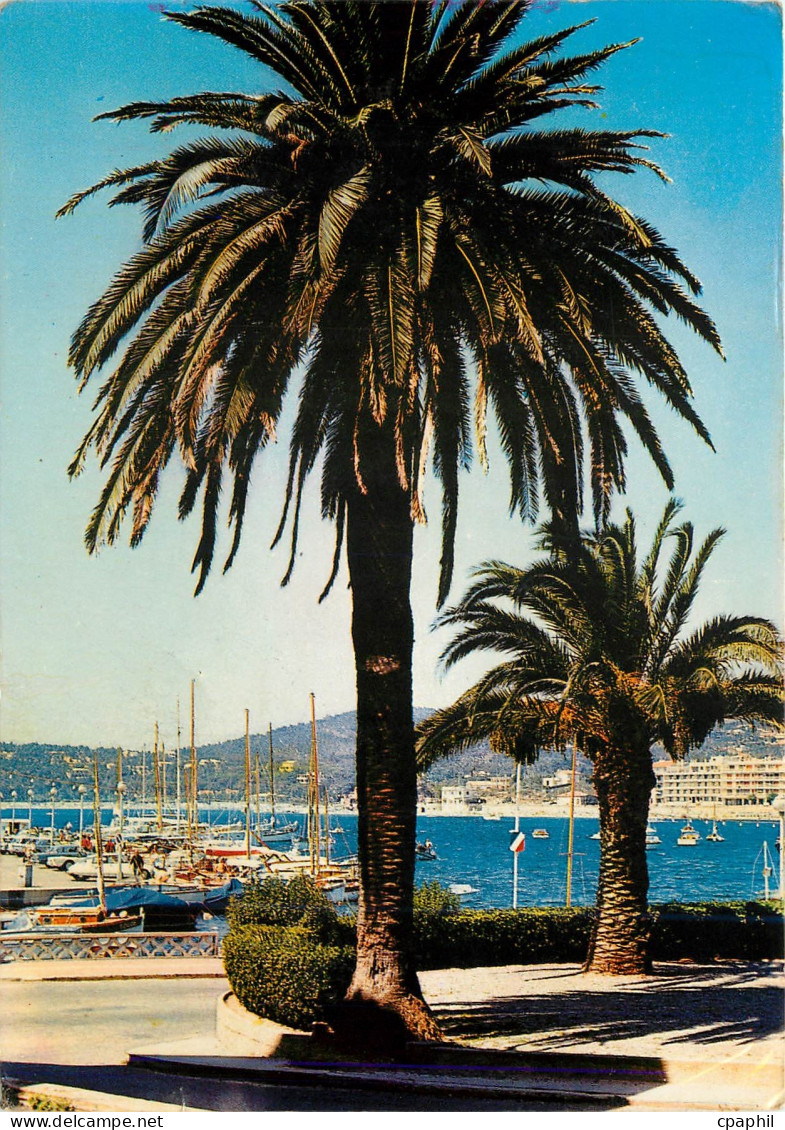 CPM Sainte Maxime Var Vue sur le Port