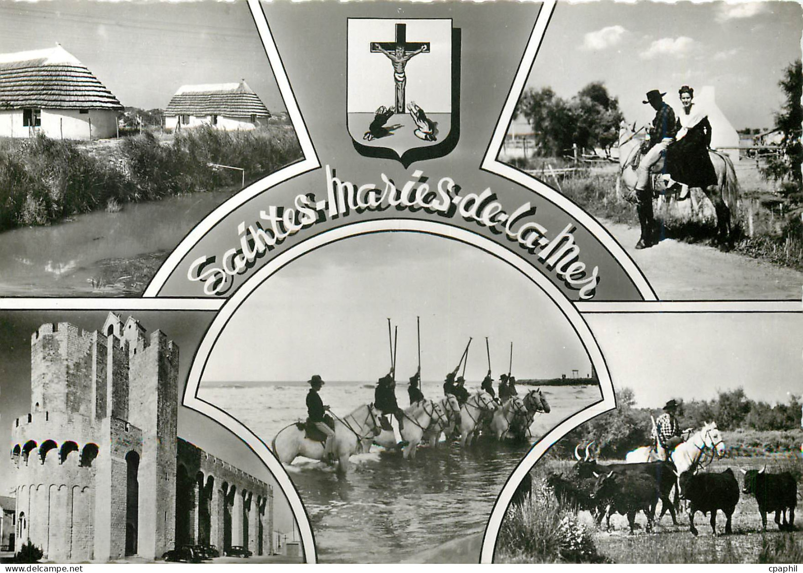 CPM Saintes Maries de la Mer B du R Taureaux