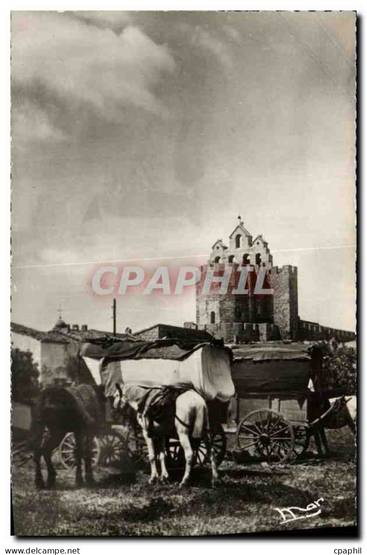CPM Saintes Maries De La Mer Campement des Gitans